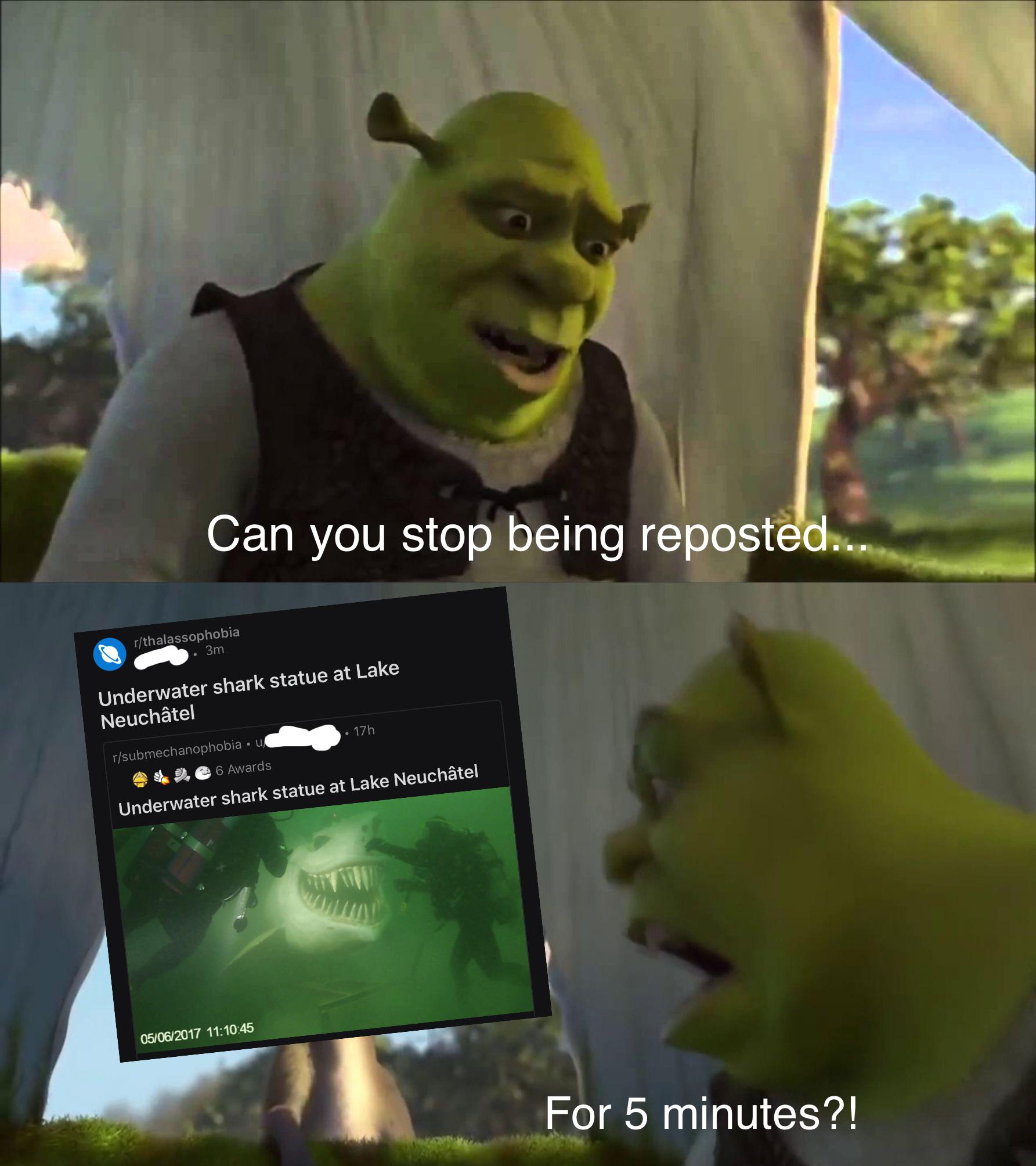 uNdErWaTeR sHaRk StAtUe At LaKe NeUchÂteL r/memes