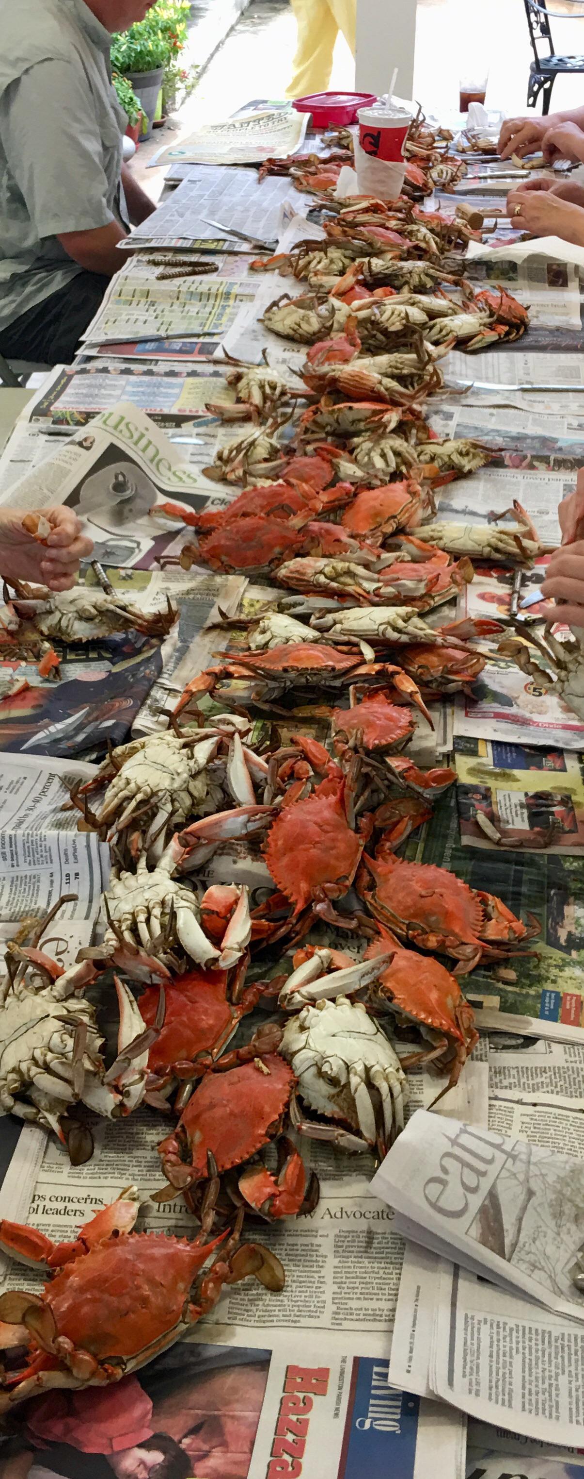 Louisiana is the sportsman’s paradise r/Louisiana