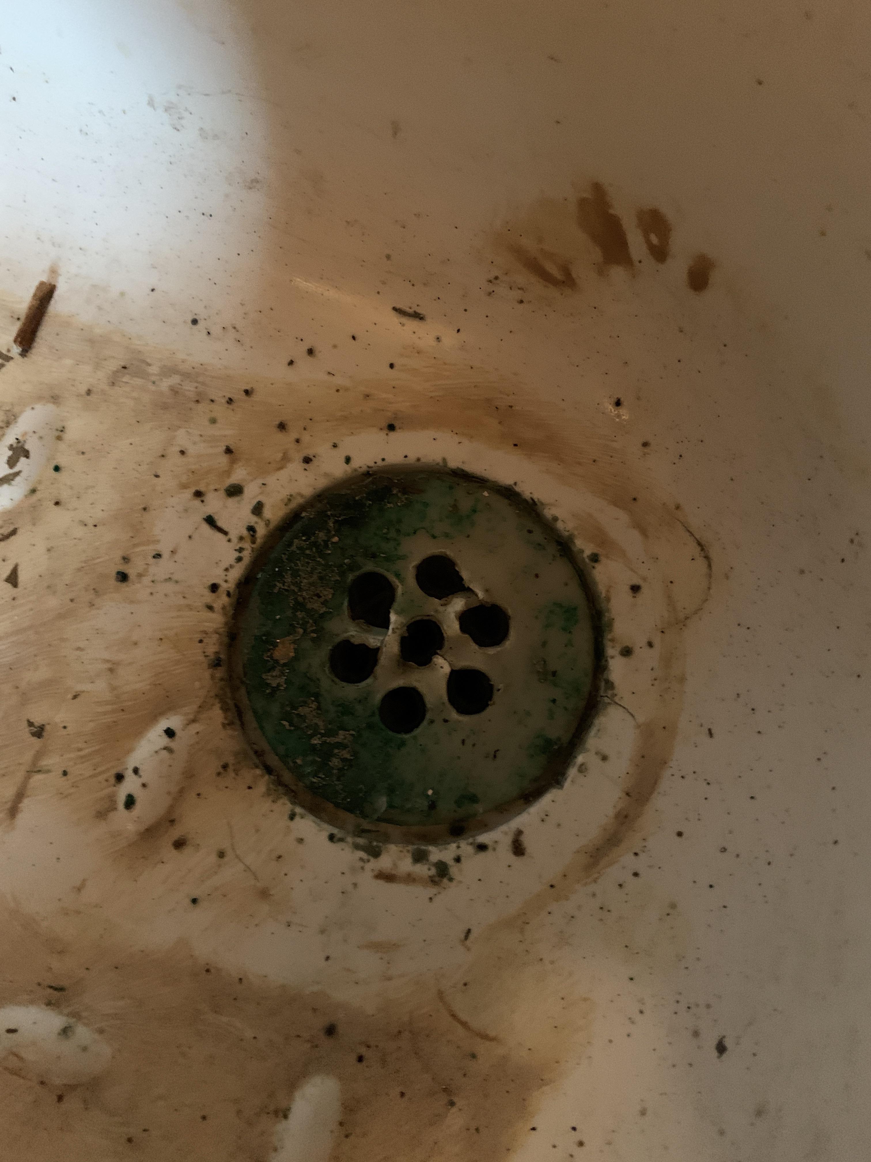 Help! How do I remove this? Old (rotted) shower tray trying to remove. Tried turning it, but it