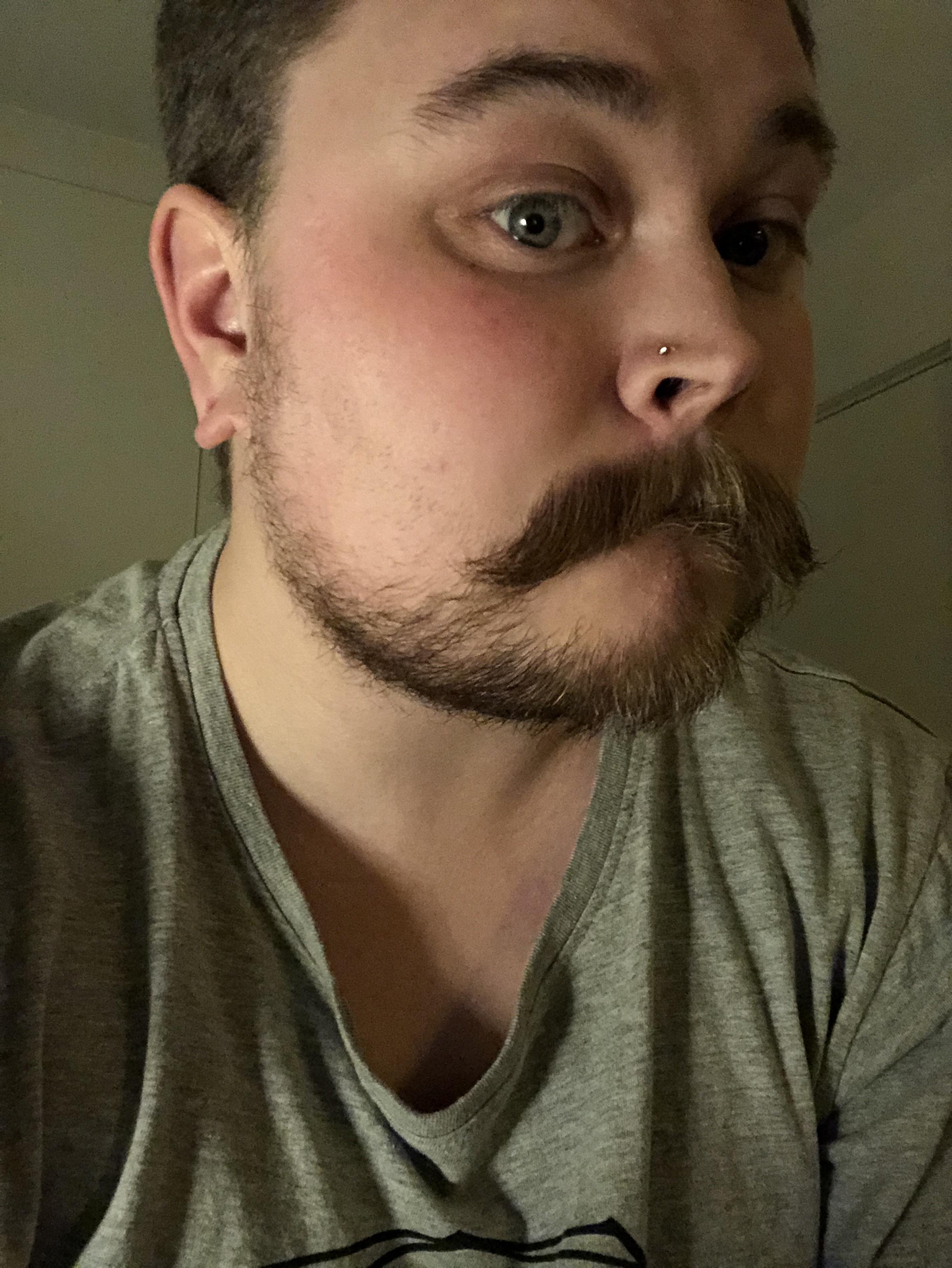 Beard progress! 1 month. r/beards