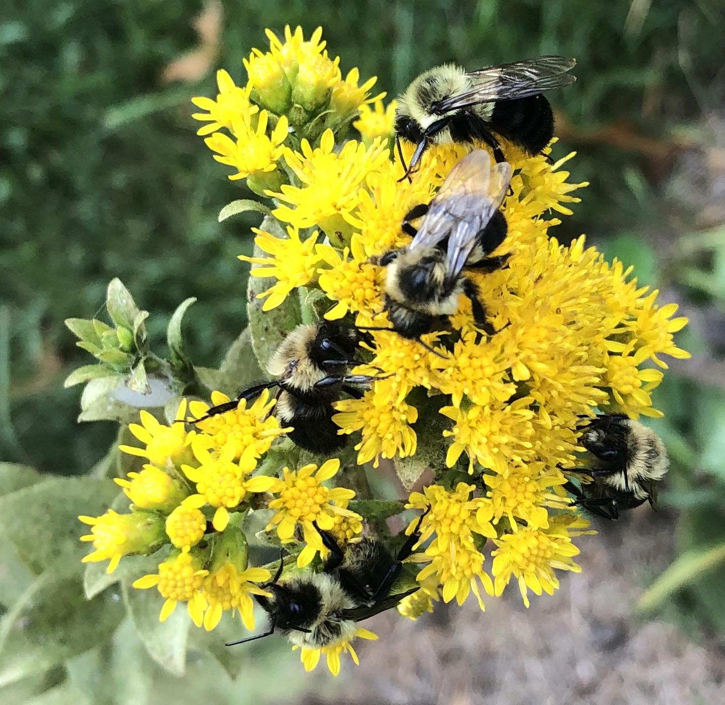 This is from last summer but it’s one of my favorite examples of