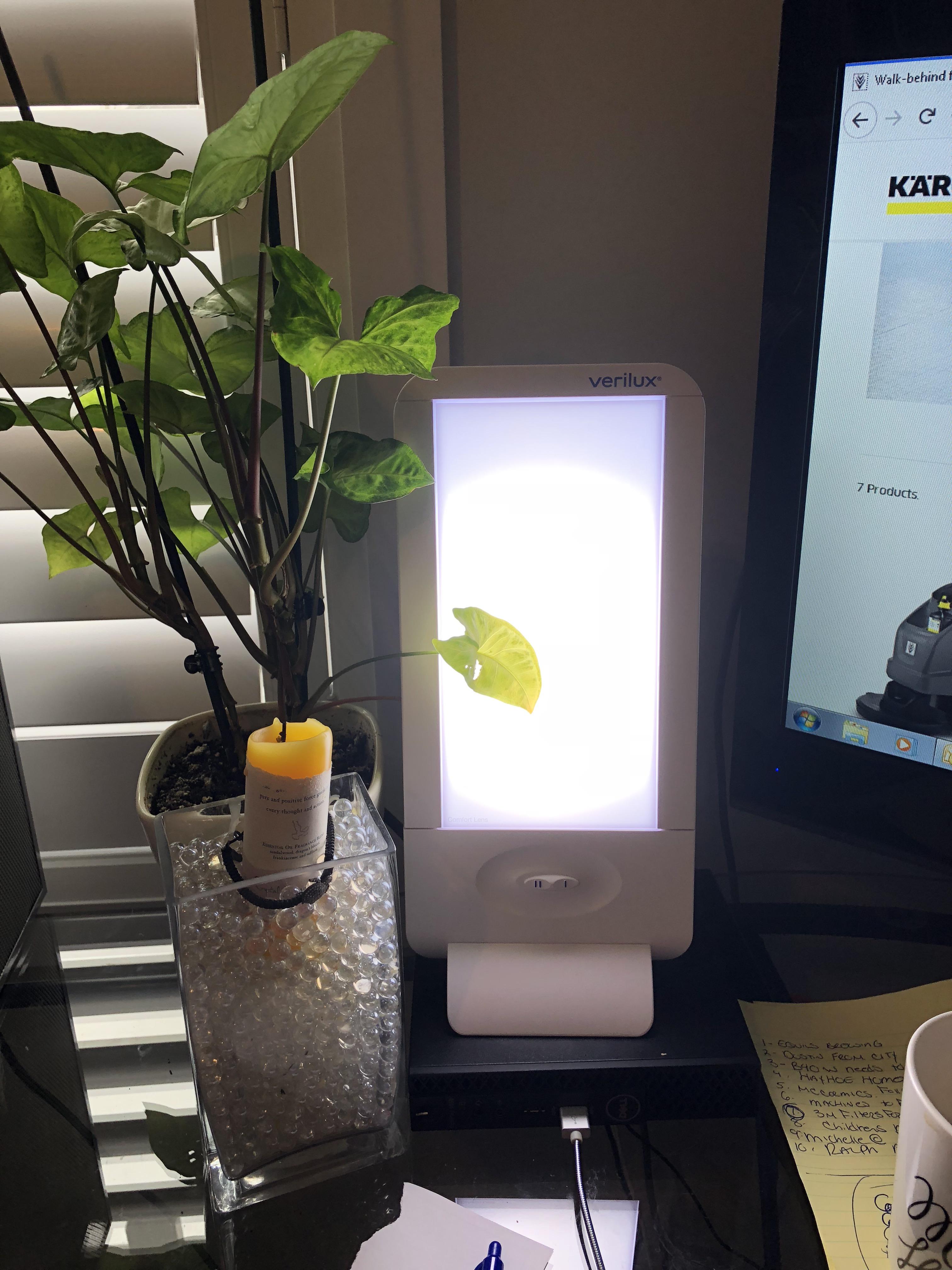 This Sun Lamp is saving me. r/Fibromyalgia