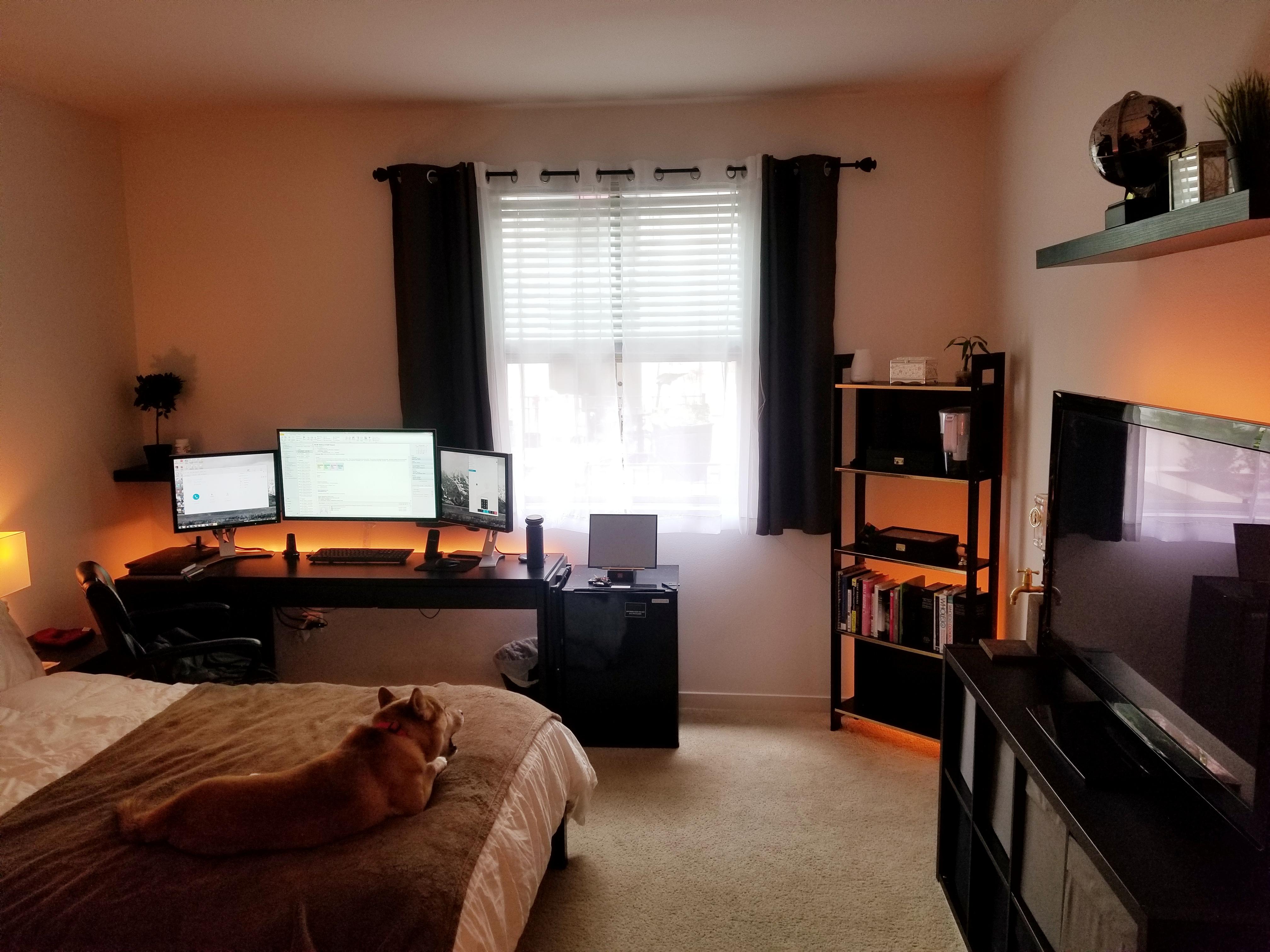 My bedroom/office in California r/AmateurRoomPorn