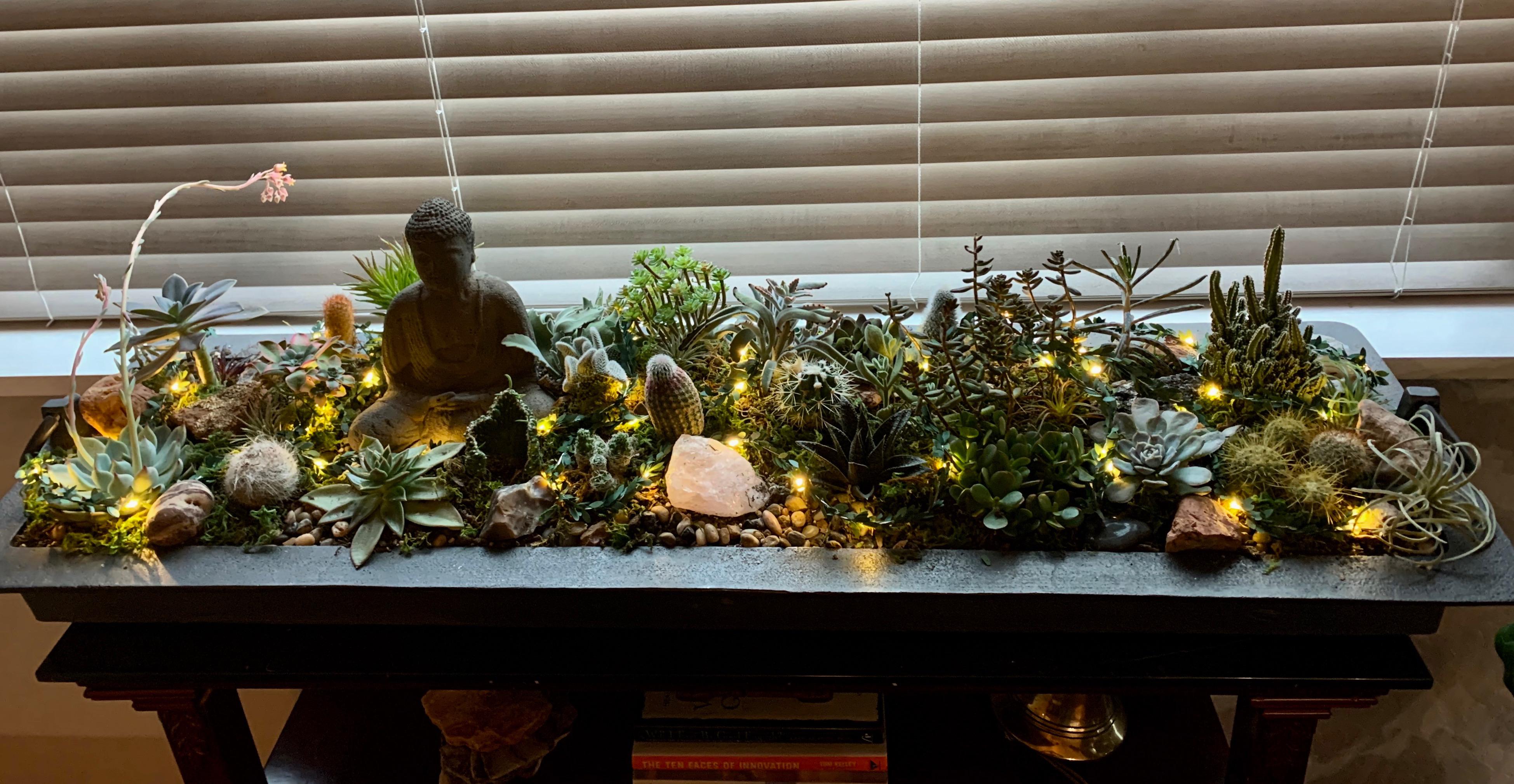 Lights! My updated succulent garden! r/succulents