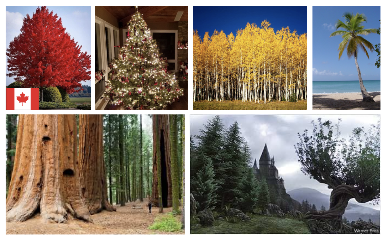 Non Bearing Fruit Trees Shaping Deciduous Fruit Trees For Non