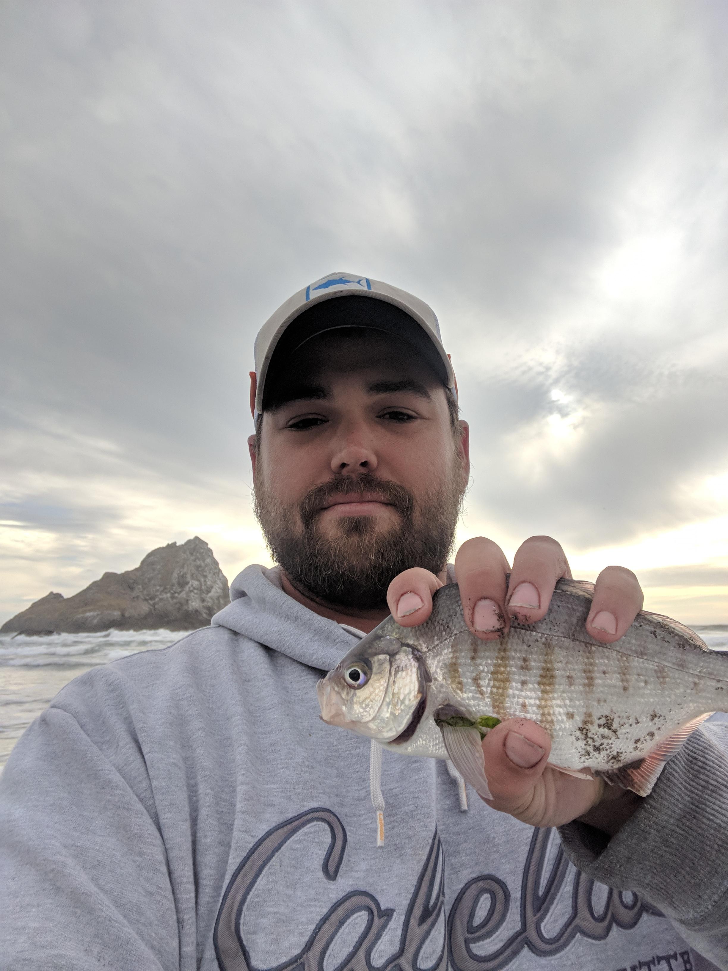 Surf perch near Brookings Oregon during slack tide. Got a lot of em