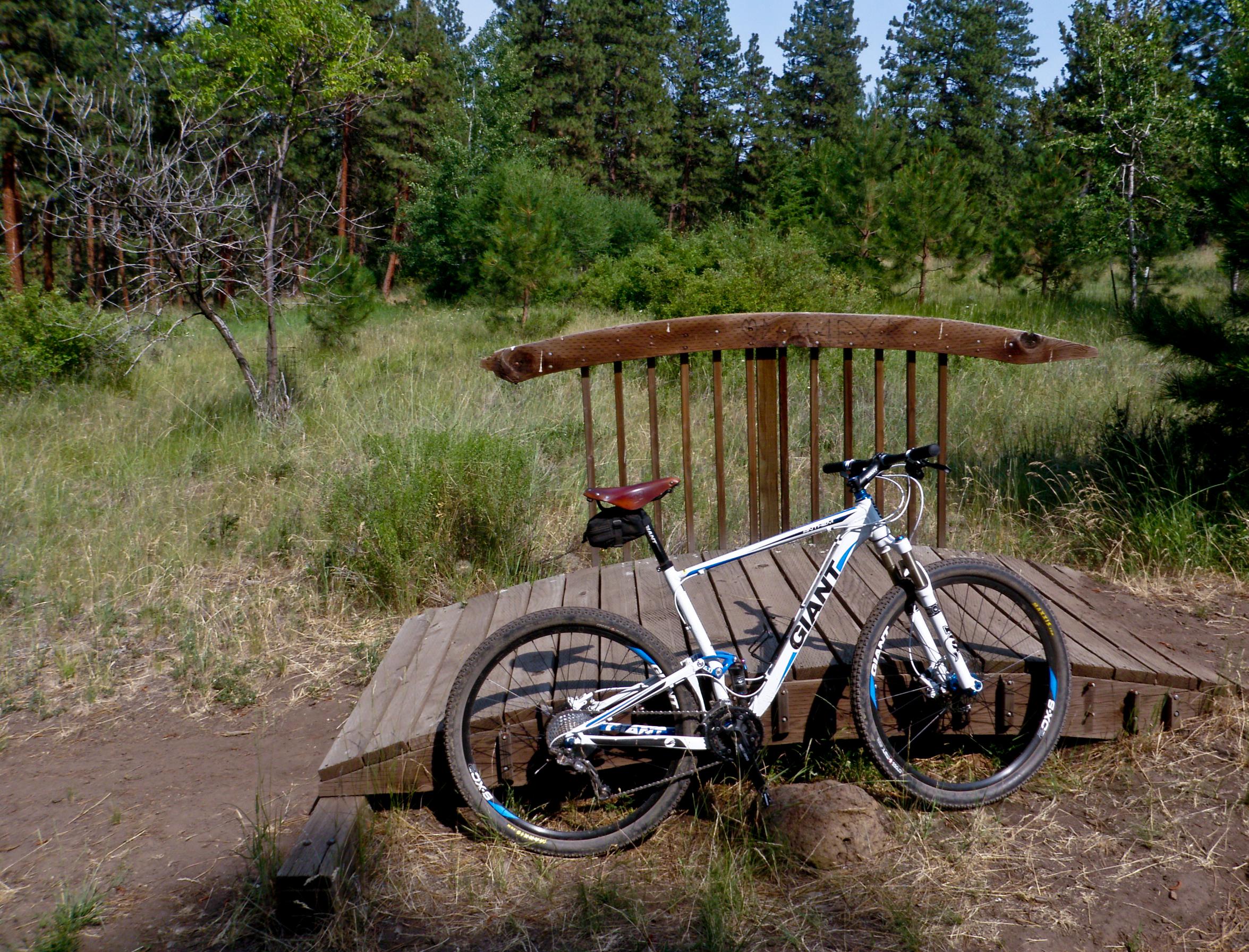 "Bridge To Nowhere" Archery (Trail), Moore Park Mountain Bike Trails