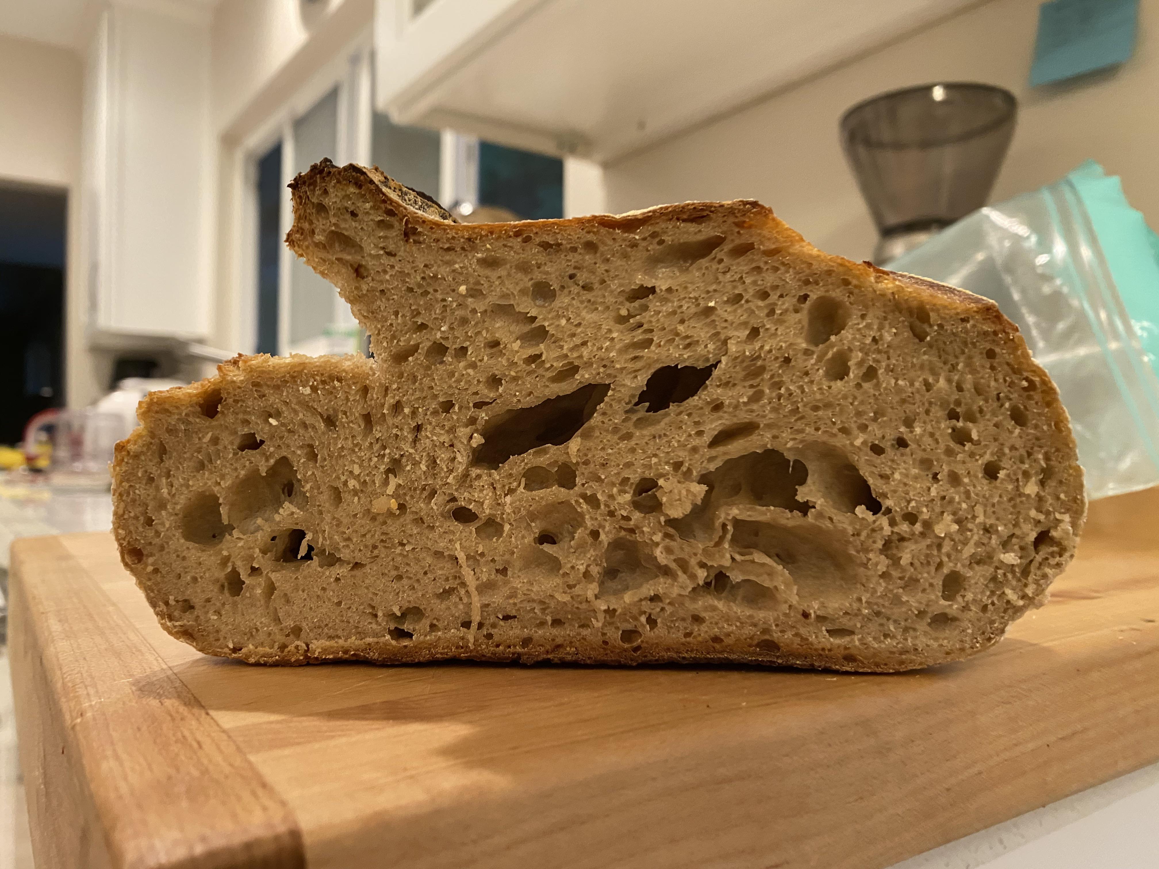 Under proofed? Help please. 500gAP, 300g bread flour, 200g, 150g Levain