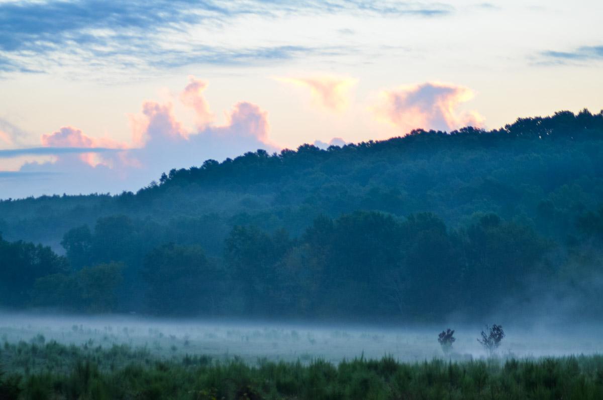 A foggy field in Hammondville, Alabama at sunrise r/PictureAlabama