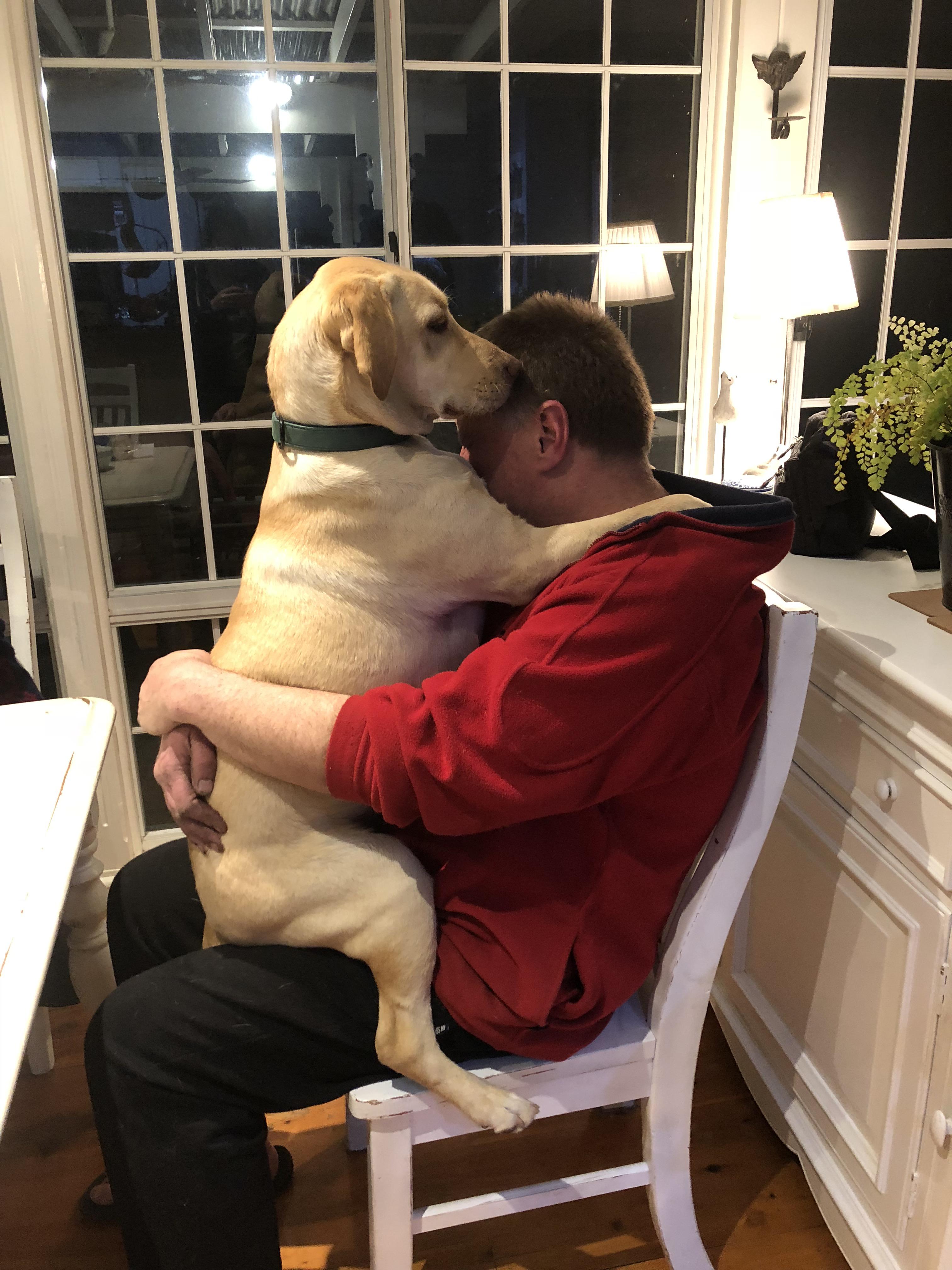 Dad didn’t want a dog. Dad and the dog aww