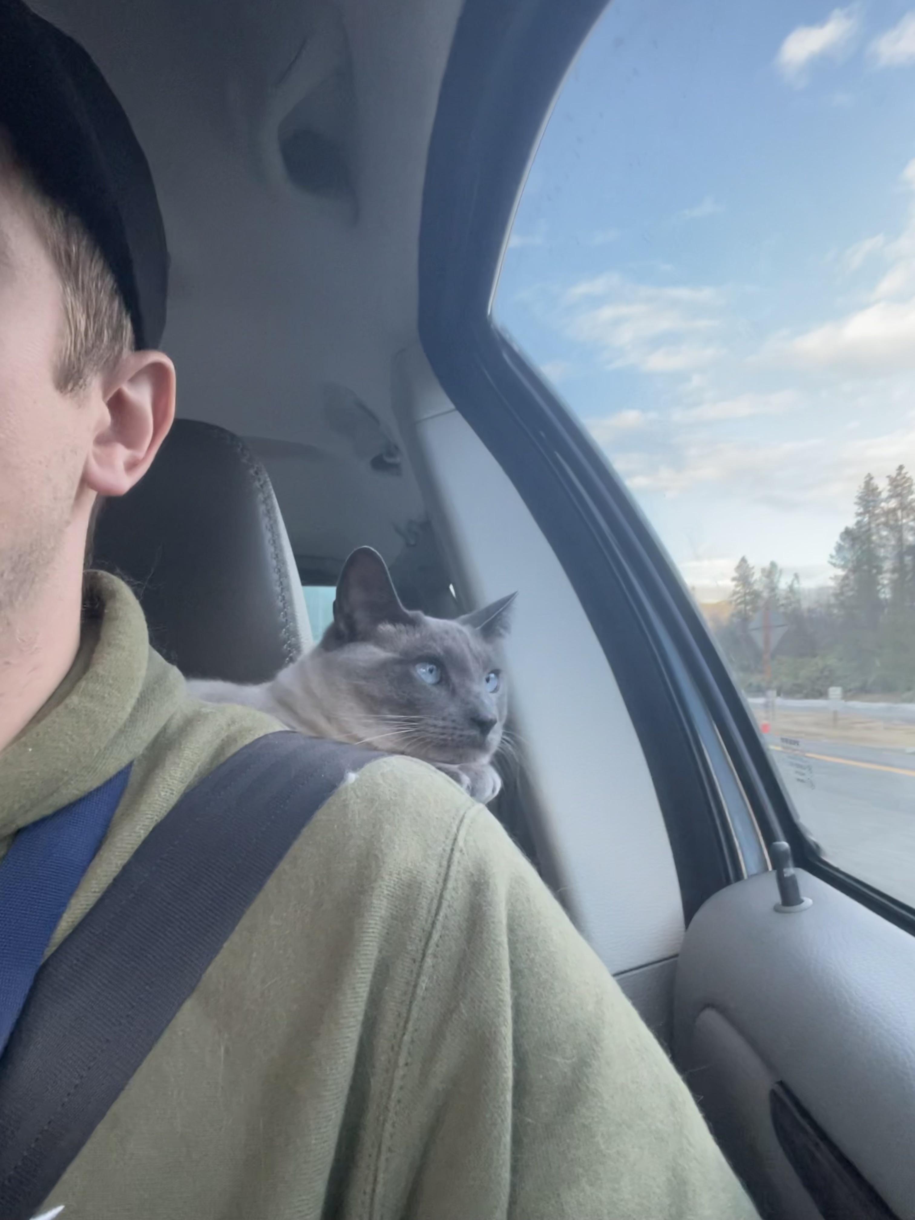 1 best u/jak-knife images on Pholder | Moved cross country and she rode