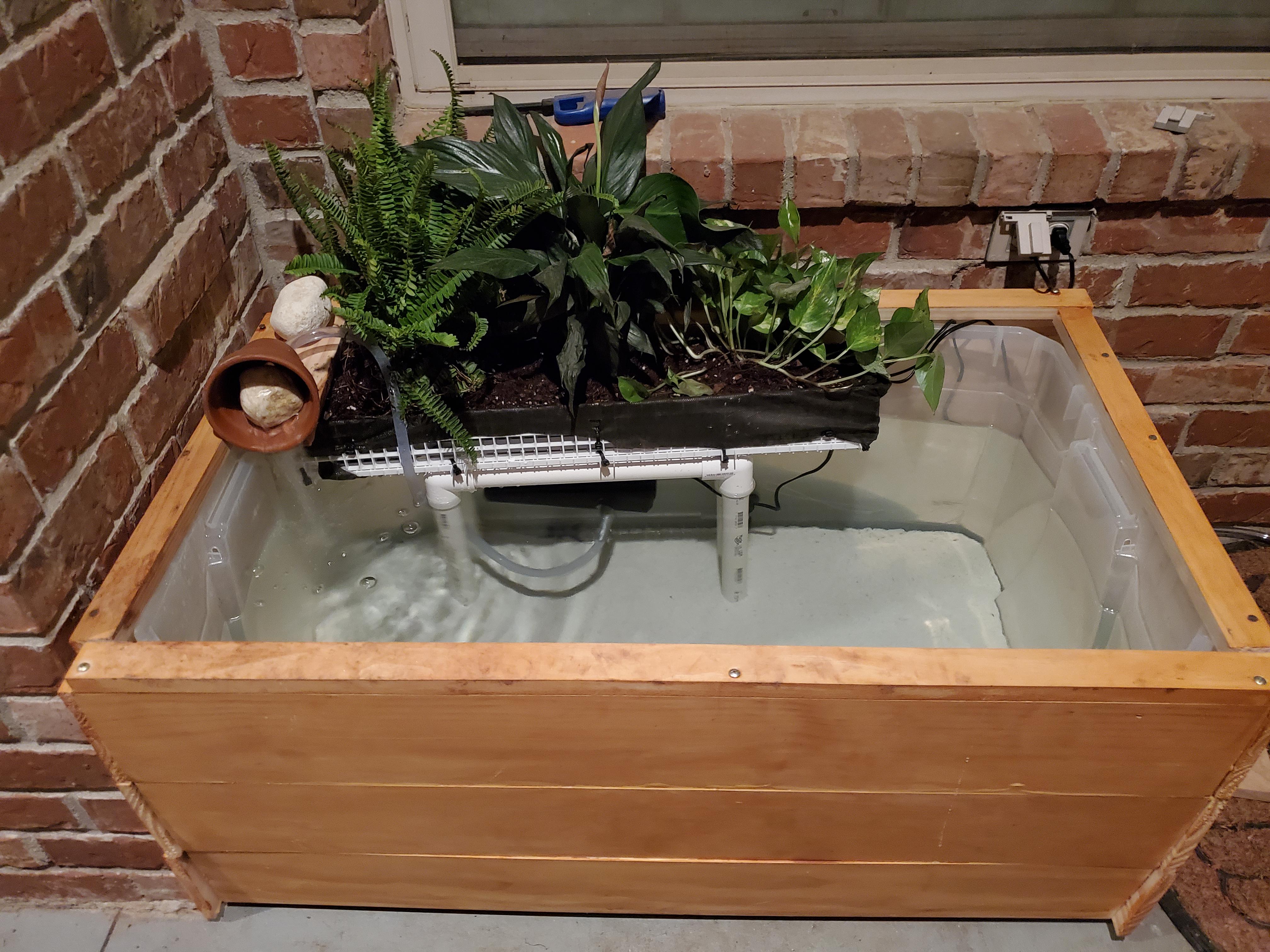 50 gallon patio pond, home to a fantail and black moor. This is my