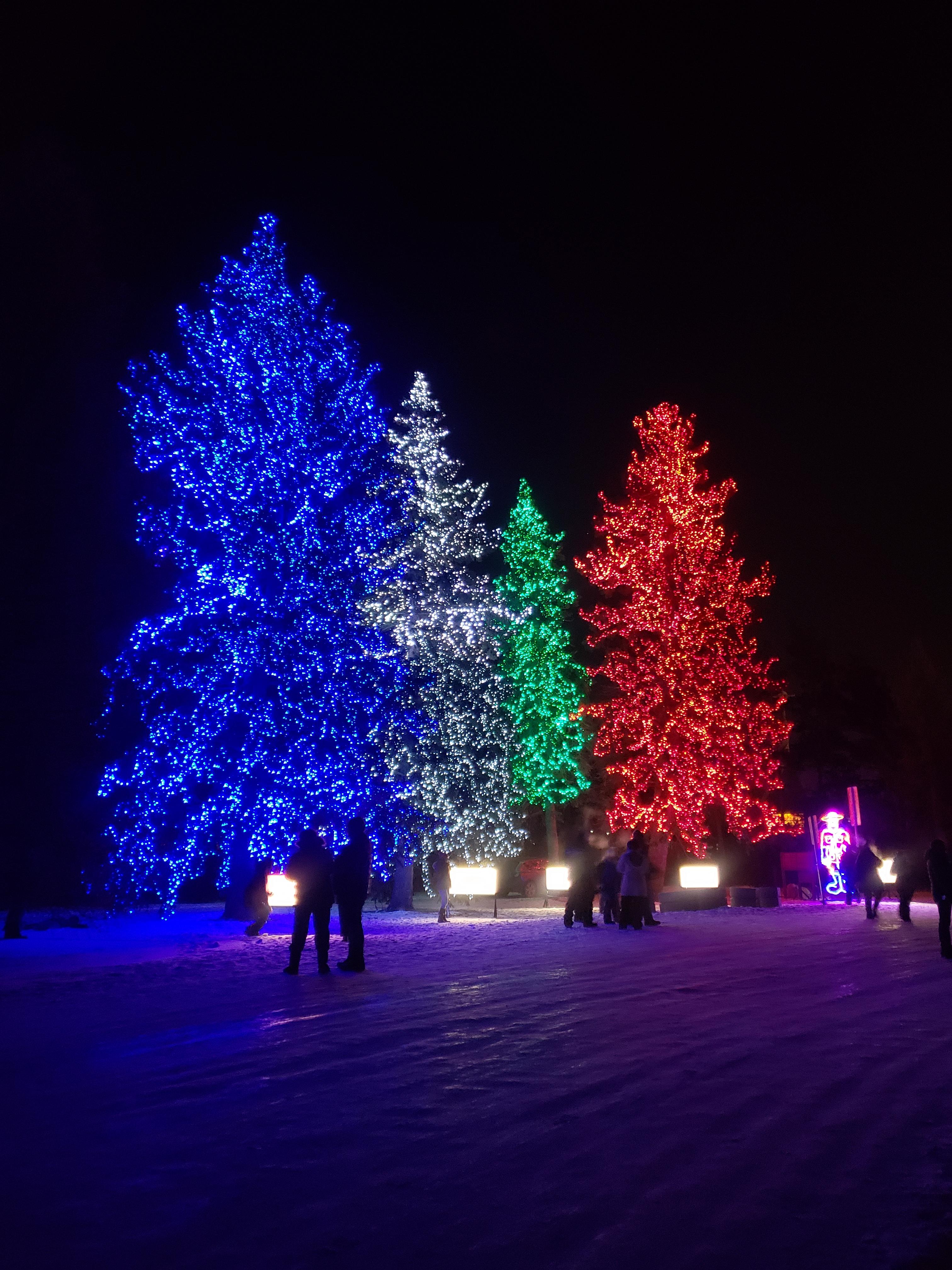 Christmas Light walk in my hometown r/christmas