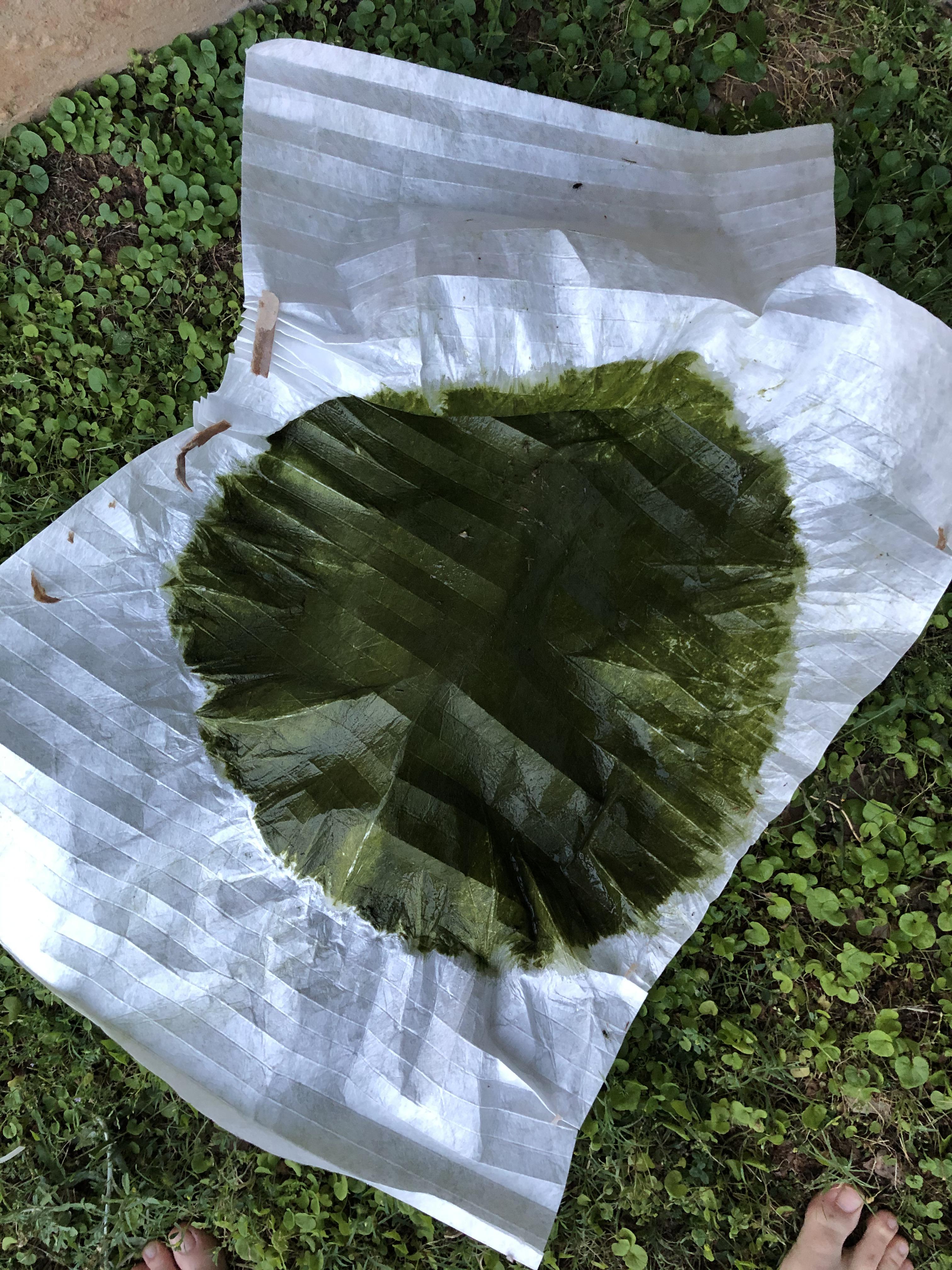 Improvised algae filter for our kids pool r/pics