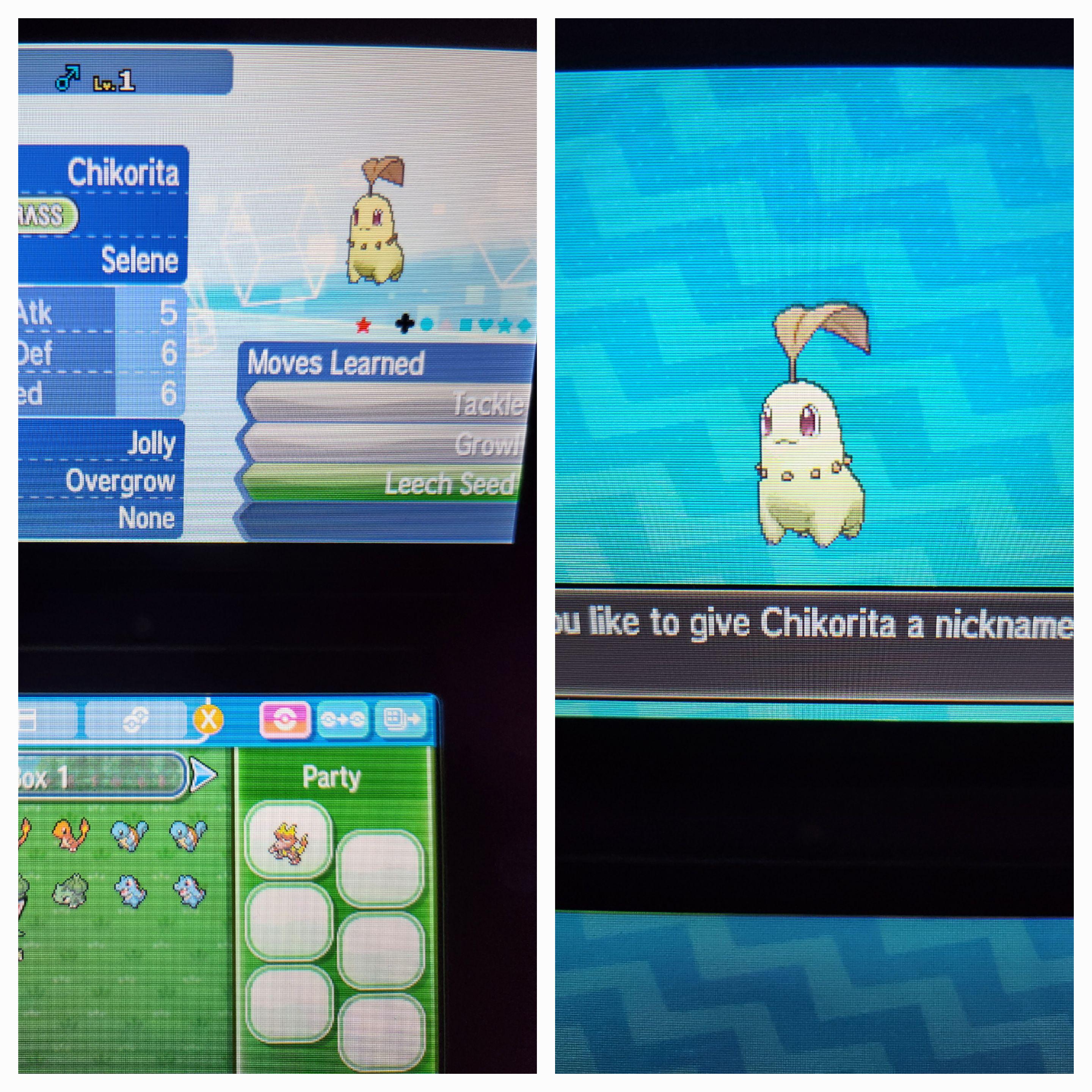 [Gen7] Shiny Chikorita at 387 eggs. With masuda method/shiny charm r