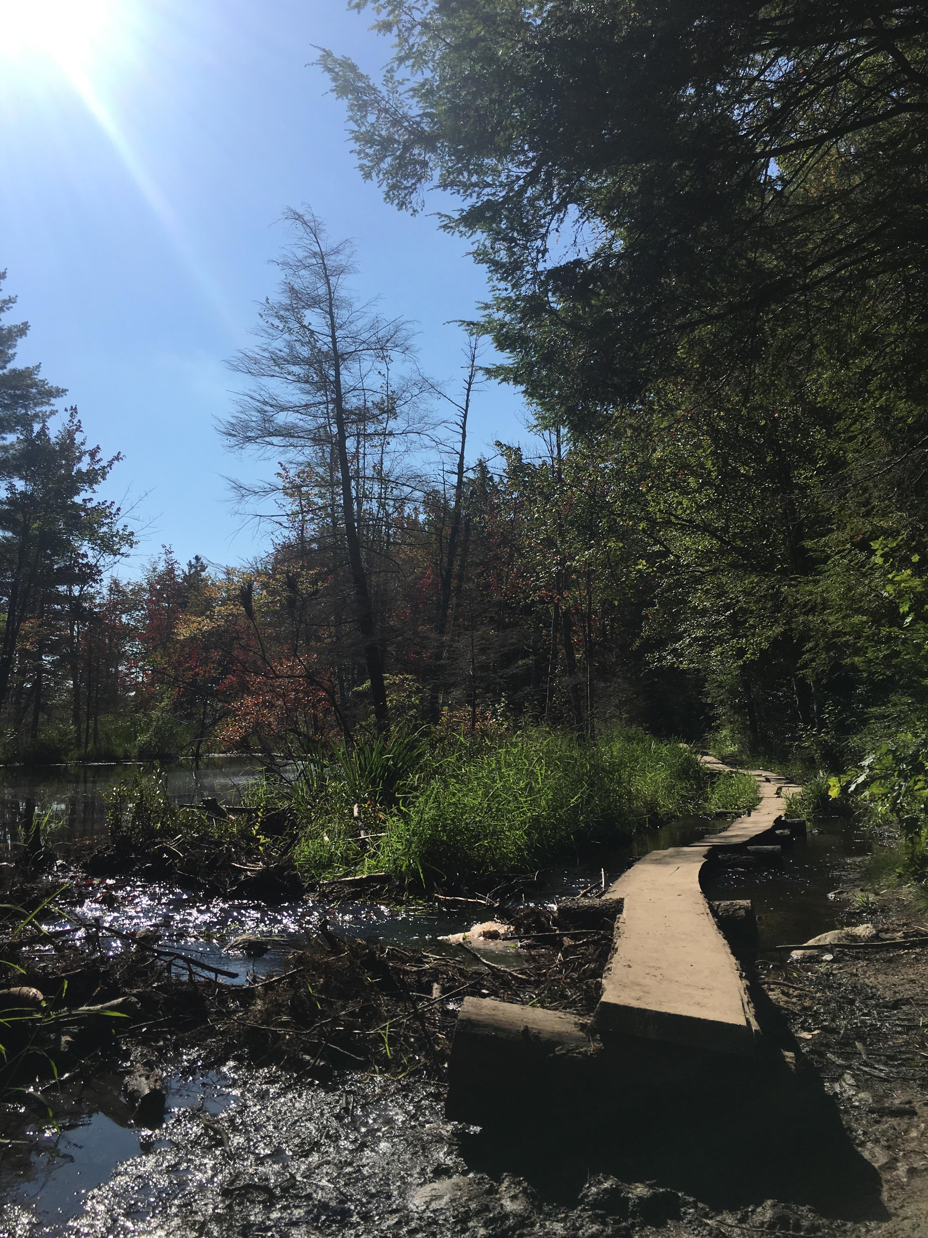 Hiking back down from Mount Watatic, Ashburnham, Massachusetts, USA r