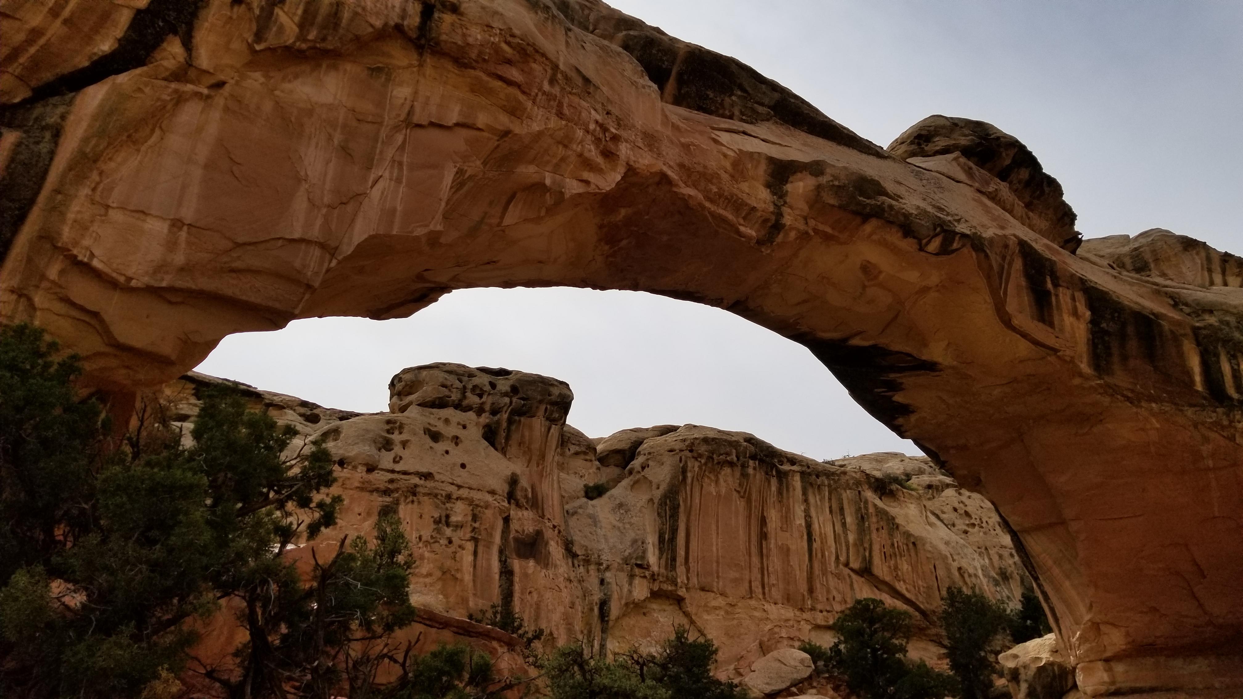 Hickman Bridge, Capital Reef National Park, Utah [4032 x 2268] r