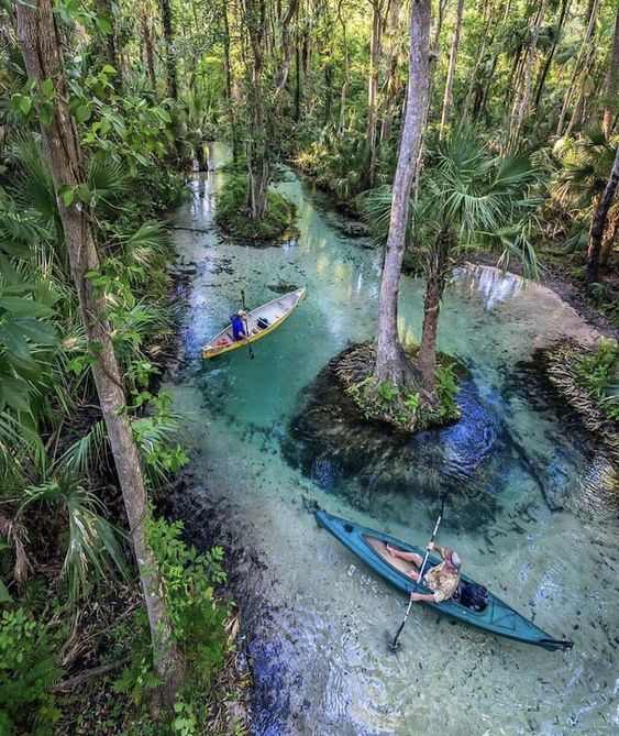 Florida has a lot of beautiful fresh water springs and rivers! These