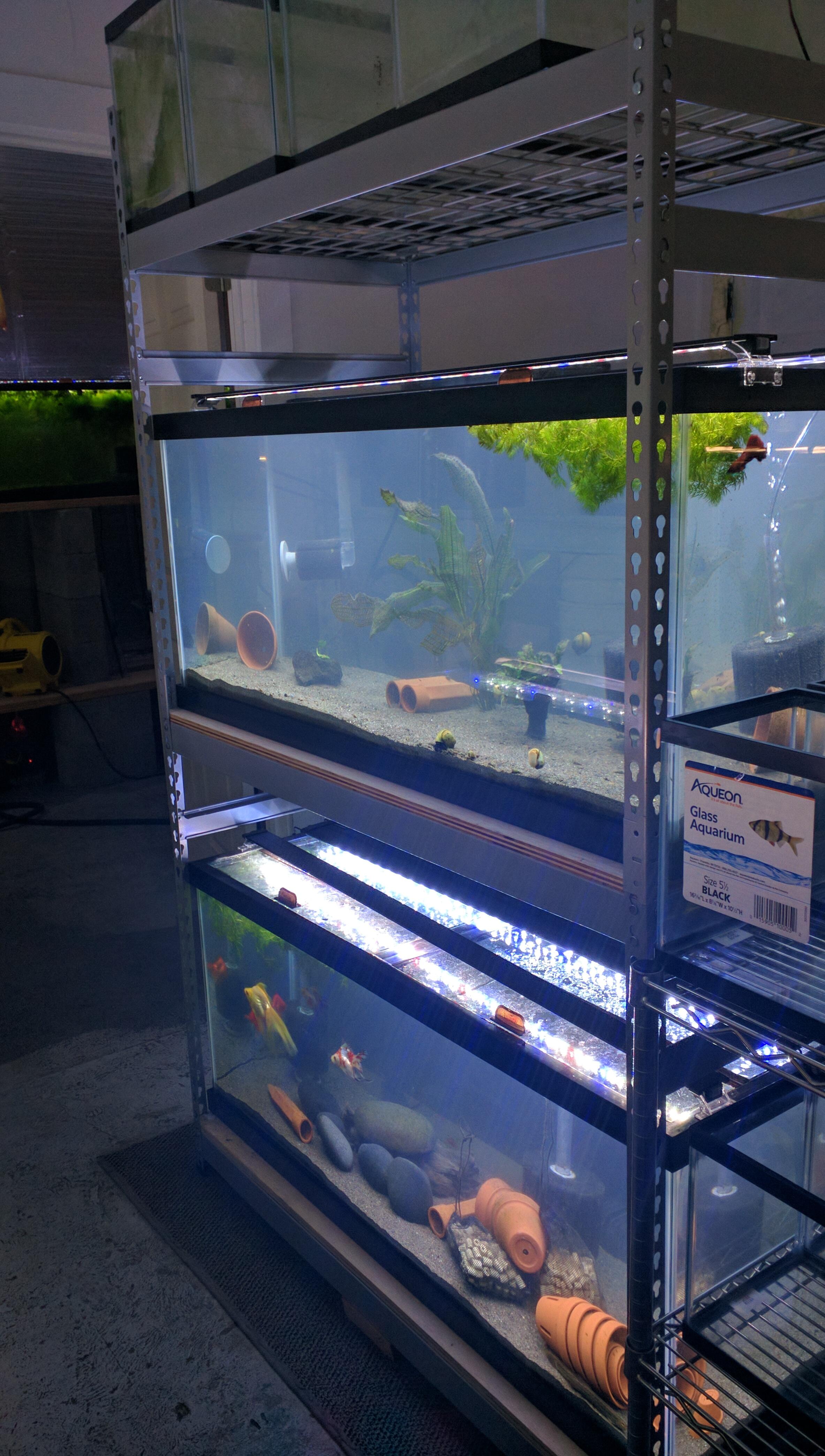 Double 75 rack set yesterday (tanks were already setup before) someday