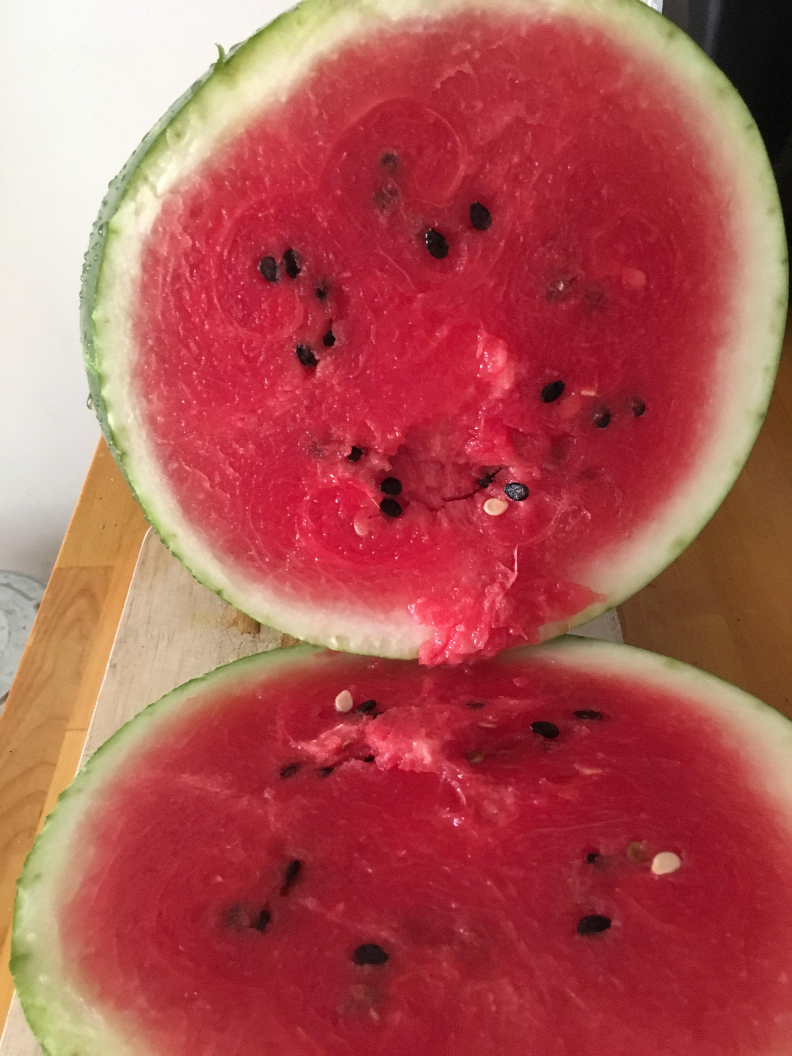 That feeling when the watermelon is perfectly ripe 😻 r/PlantBasedDiet