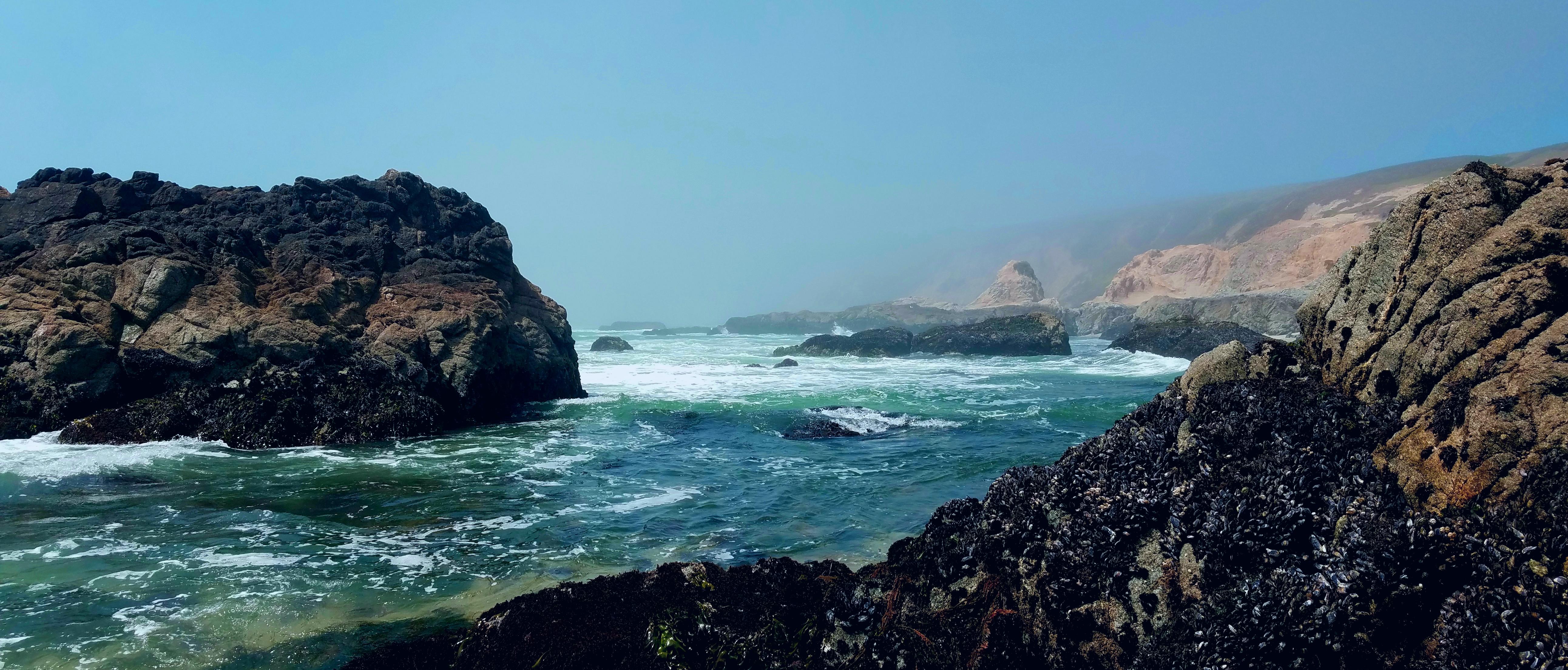 Low tide at bodega bay finally let me climb to some very coveted spots at Bodega Bay, the early