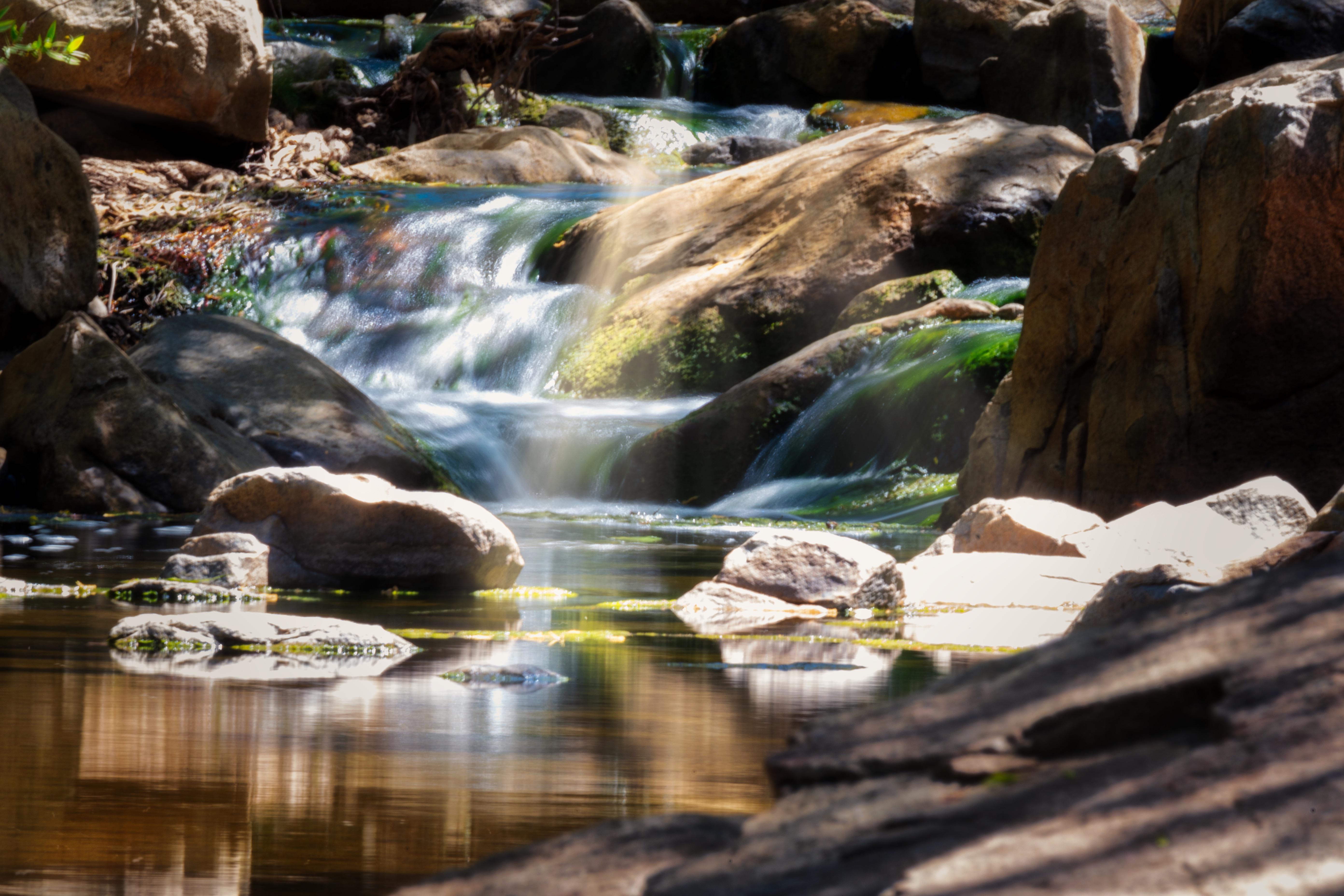 Elfin forest r/SanDiego_Photography