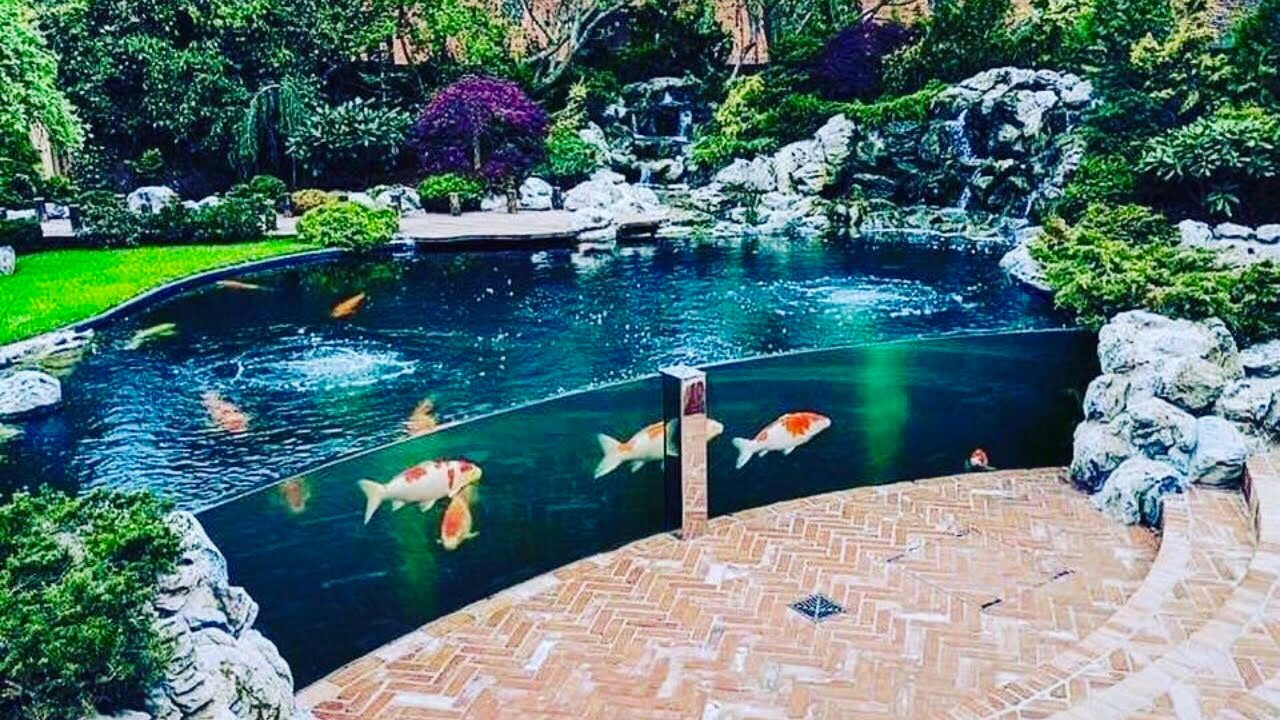 I am jealous of the happiness of the fish . r/ponds