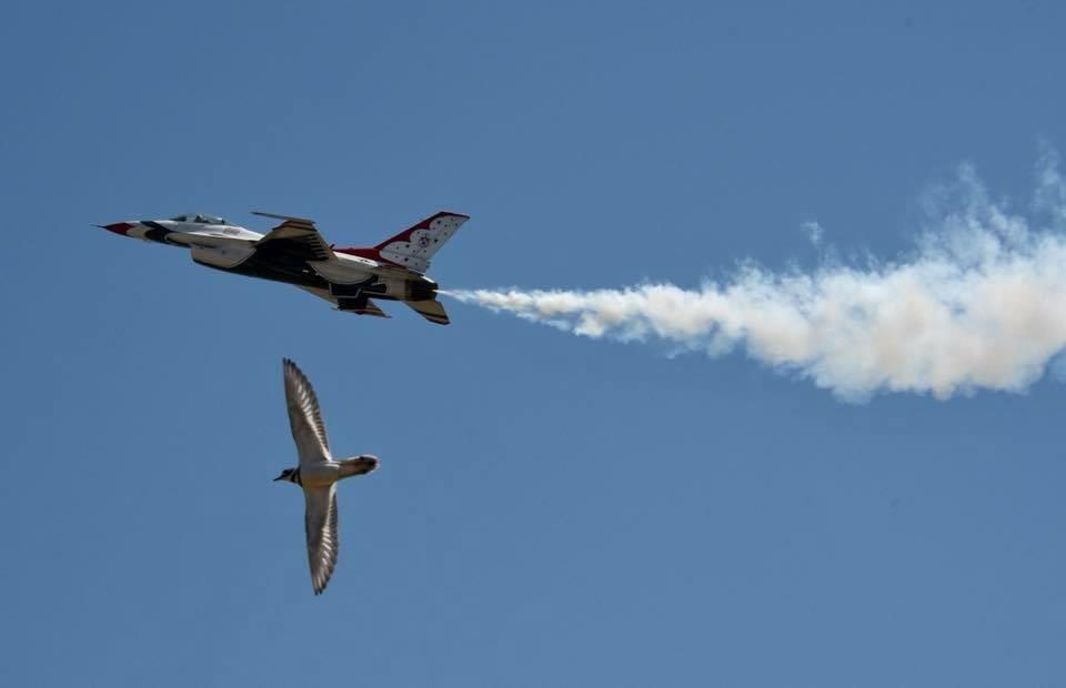 Right place right time at the Melbourne Air Show r/aviation