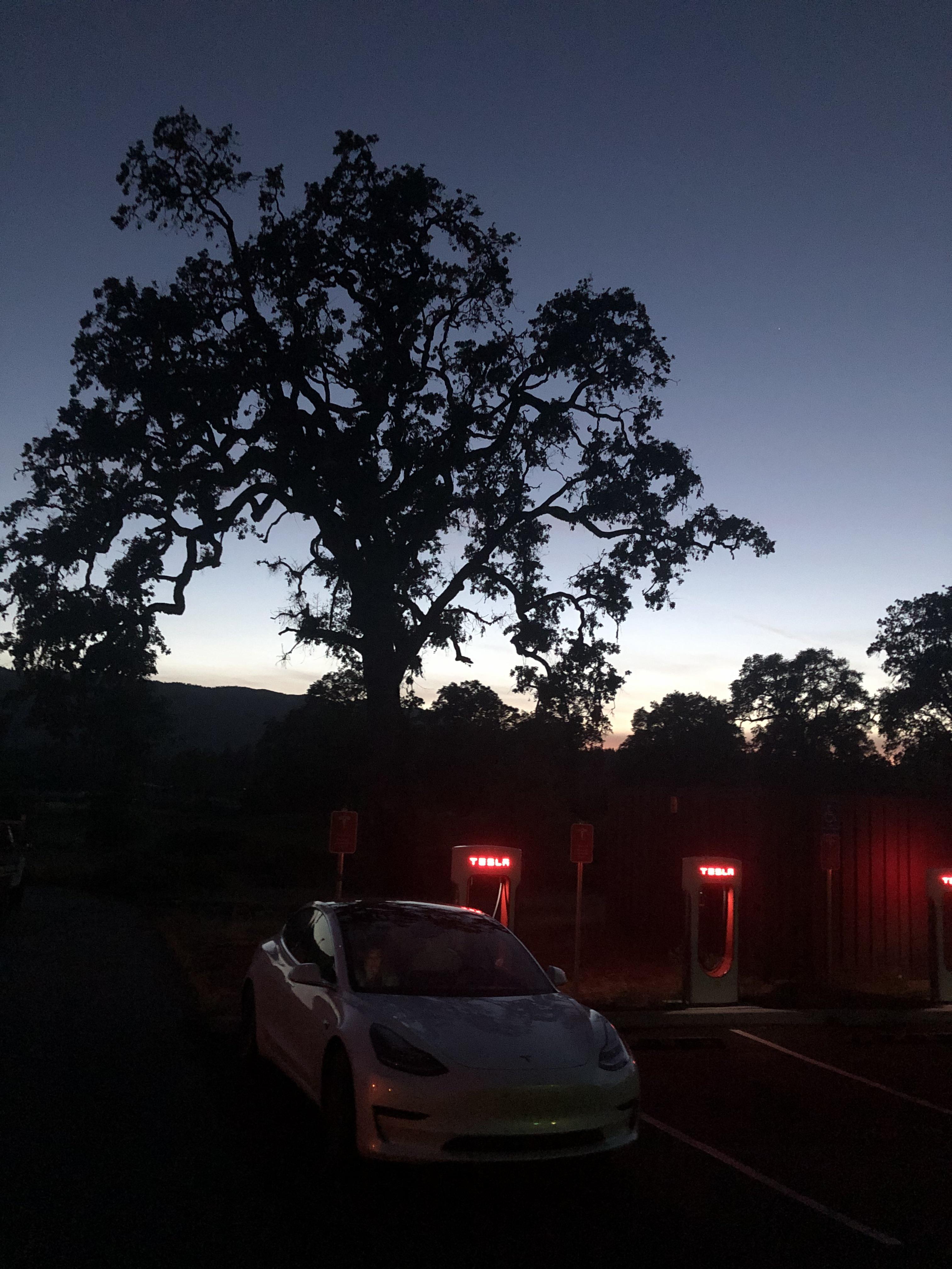 Charging Phyllis at the Laytonville, CA supercharger. r/TeslaModel3