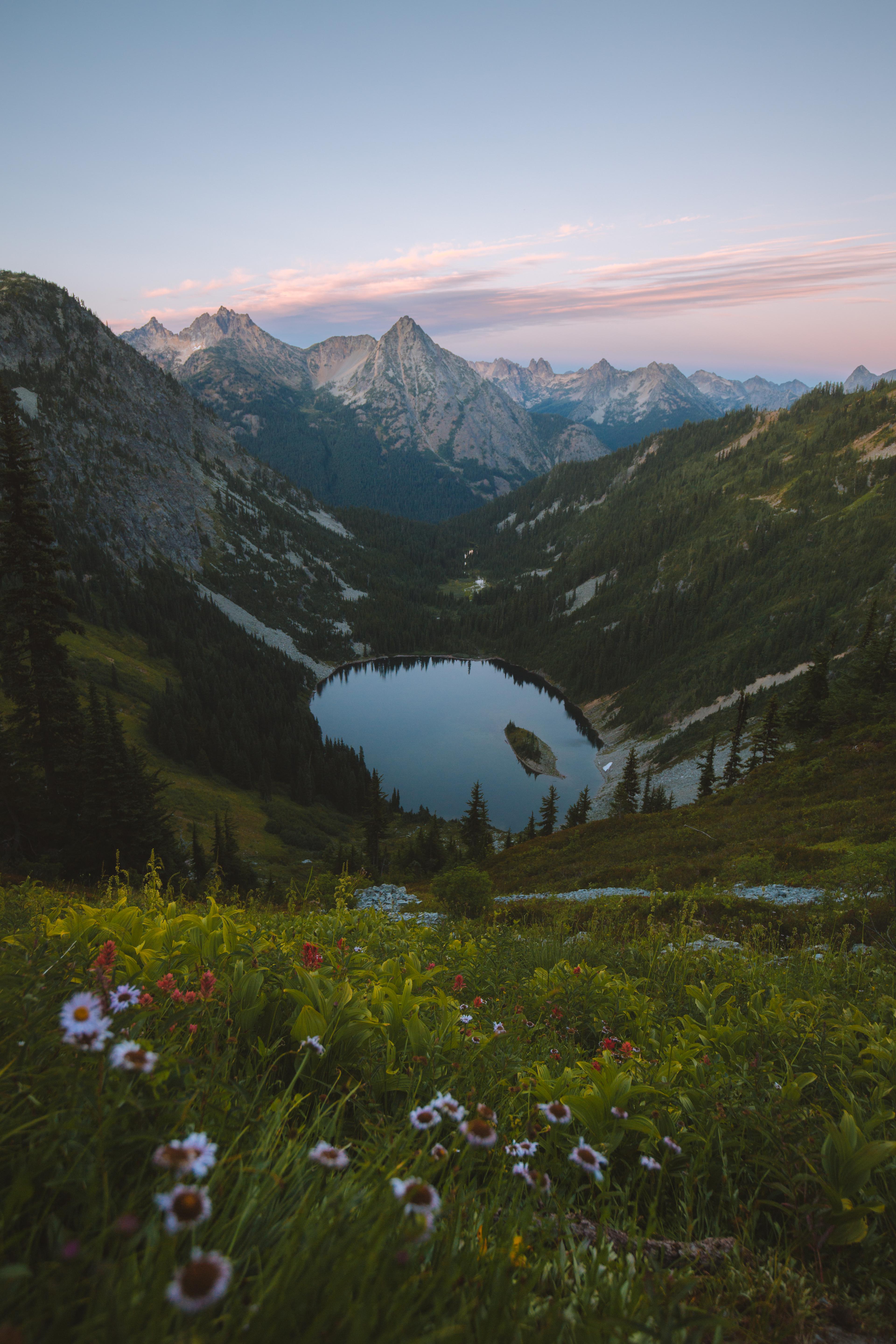 Wildflower bloom in the North Cascades, Washington [3840 × 5760] [OC