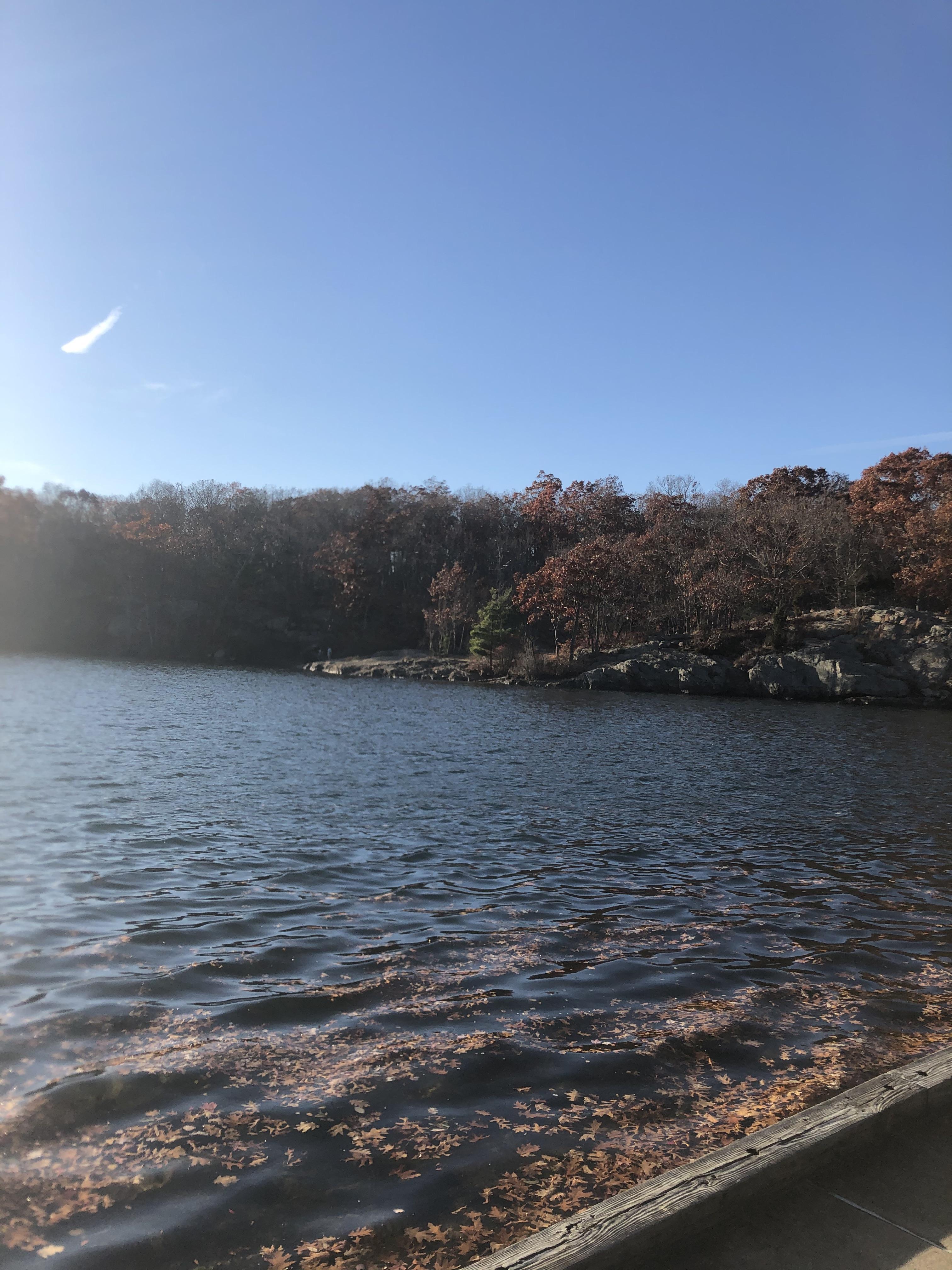 Lincoln Woods (Rhode Island) r/Stateparks
