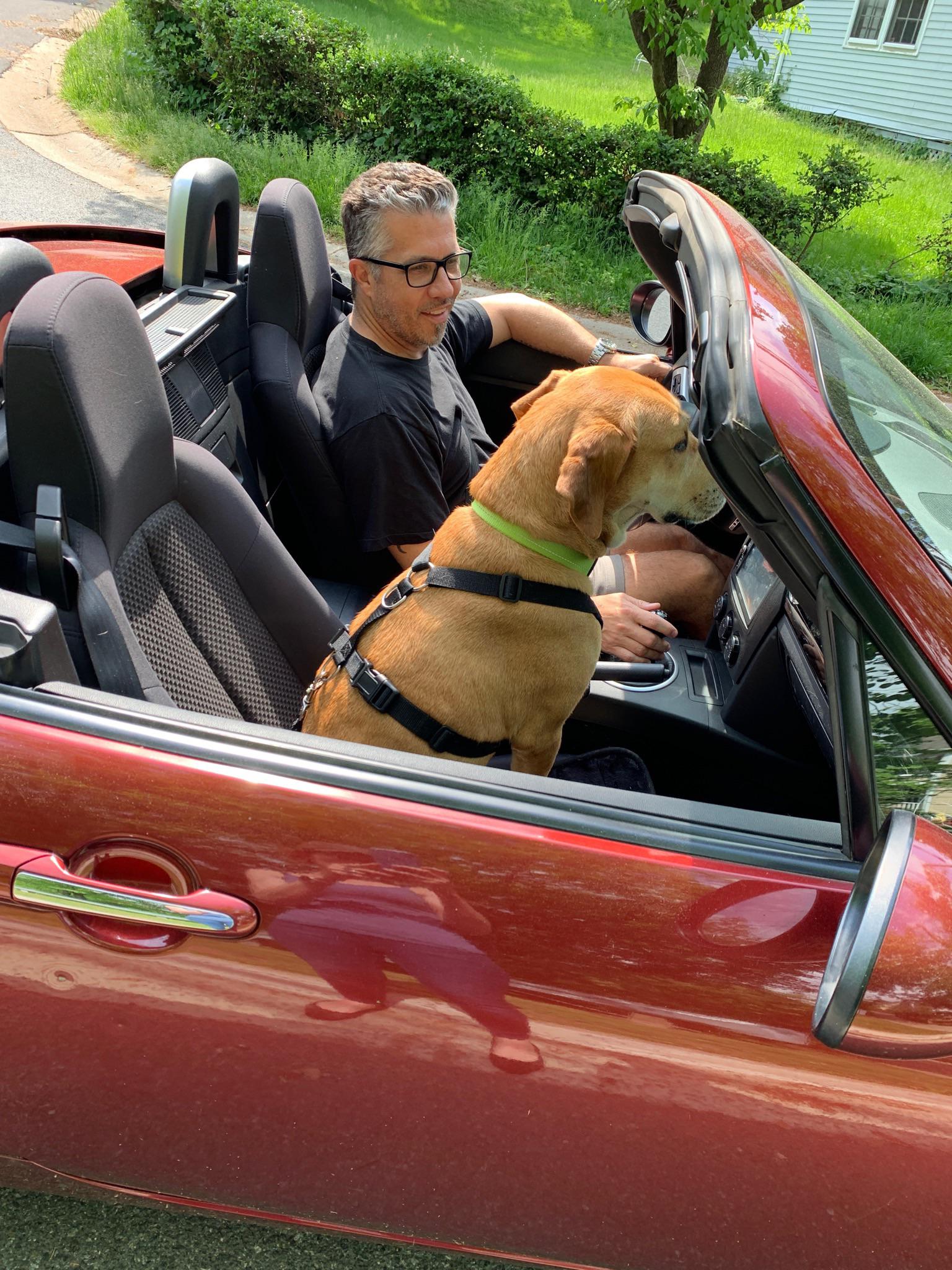 Dog is my copilot, too! r/Miata