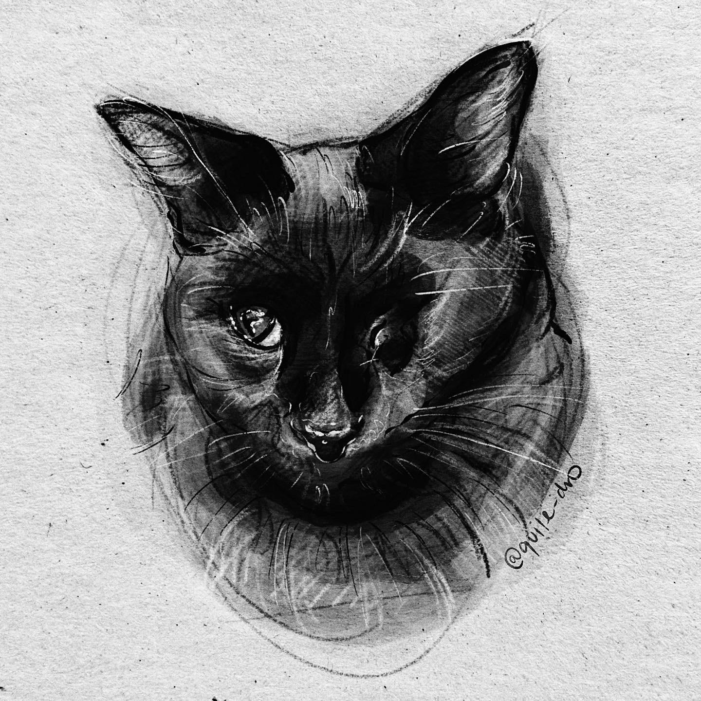 drew my friend’s one eyed cat for her birthday r/drawing