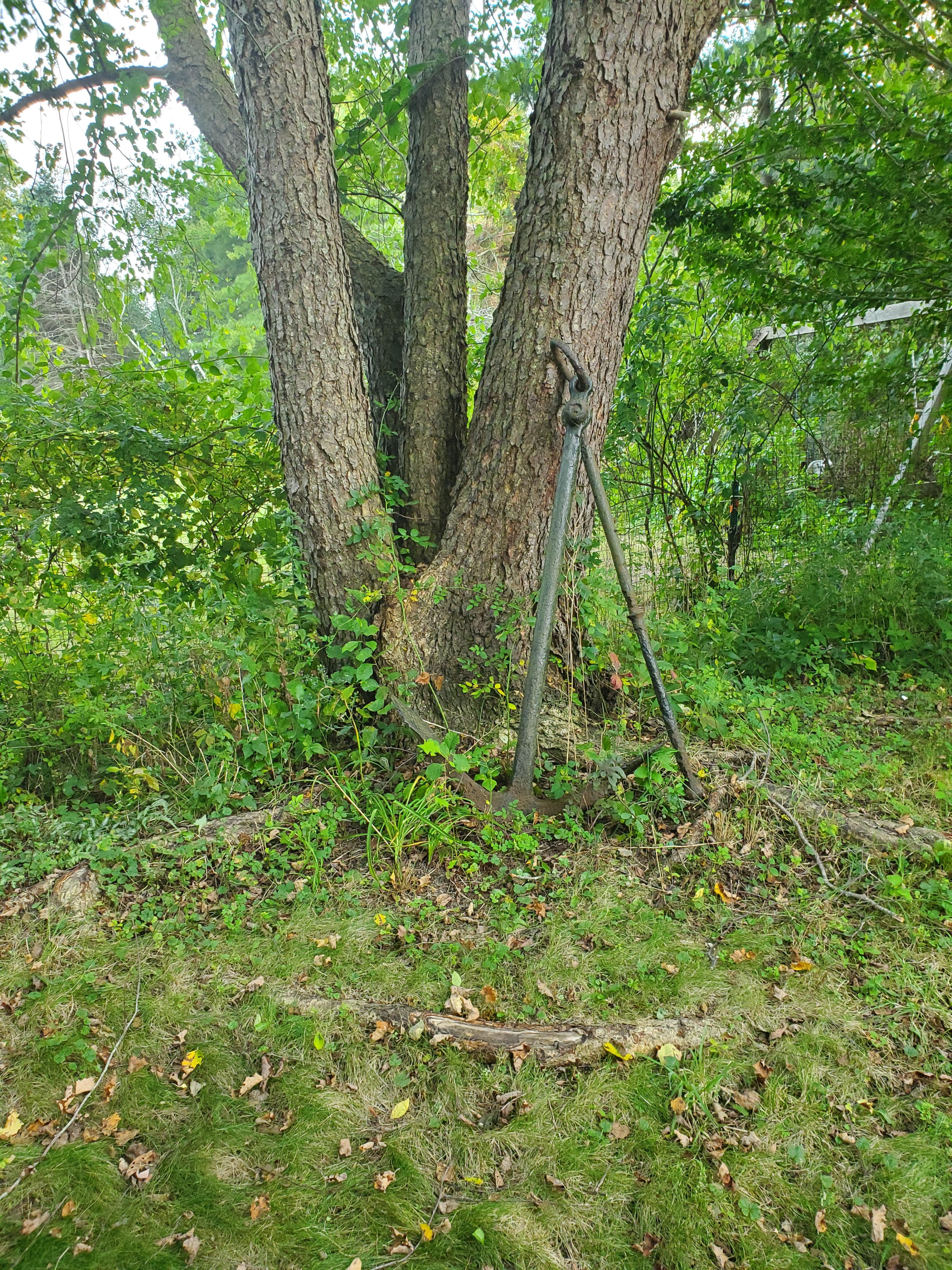 An Fairly well preserved Iron Anchor in my backyard that is from the