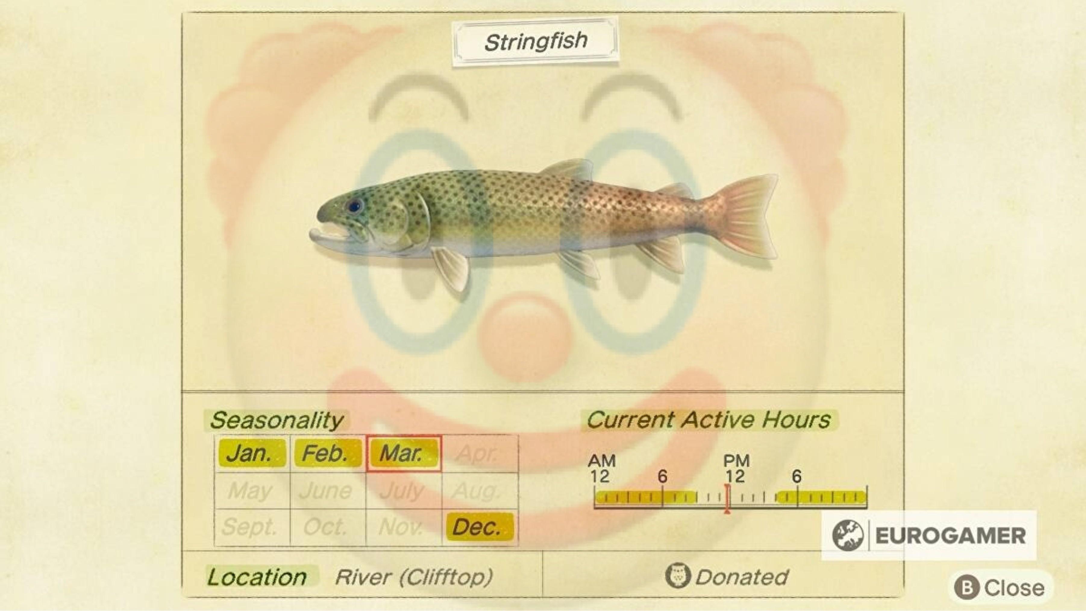 Animal Crossing New Leaf Fish