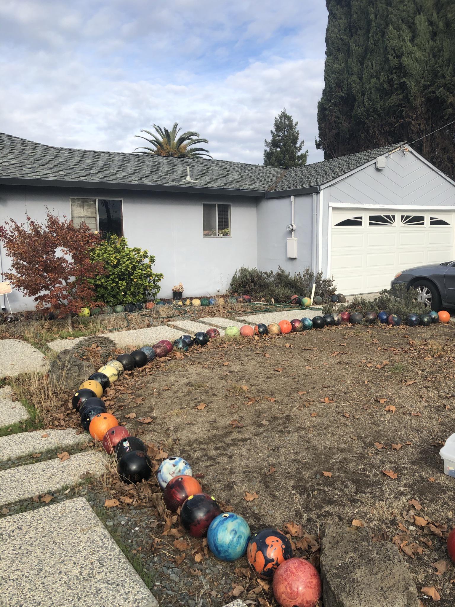 The neighbors hit a perfect strike with this one! (Those are bowling