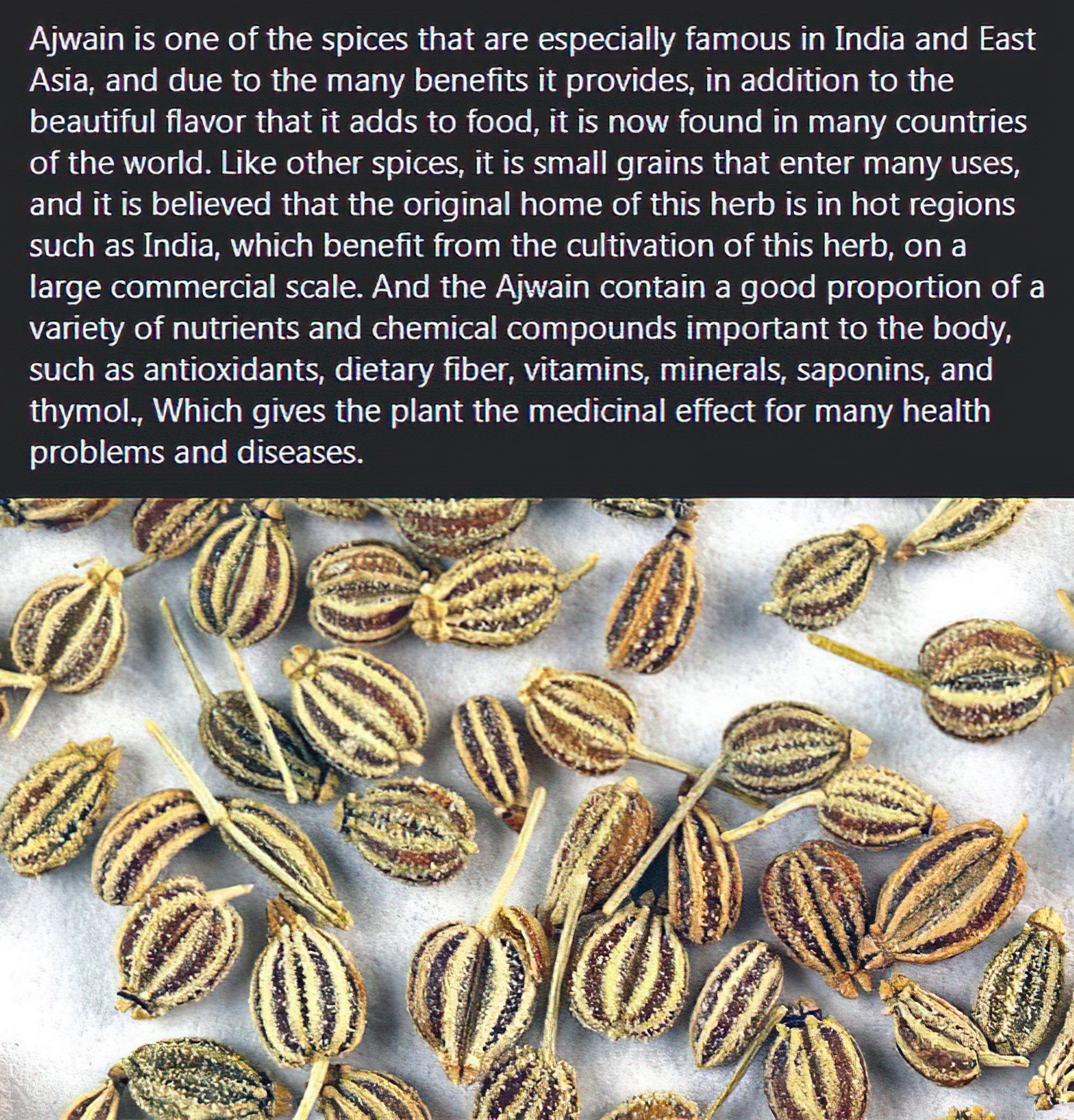 Medicinal Benefits Of Ajwain. veganfitness