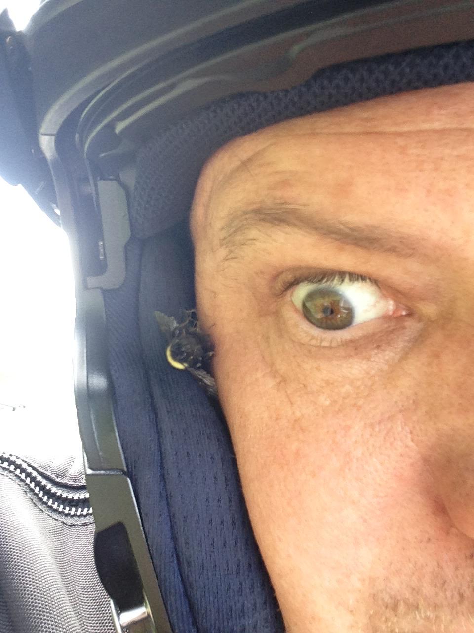 Flipped up my modular helmet coming off a mountain pass and was