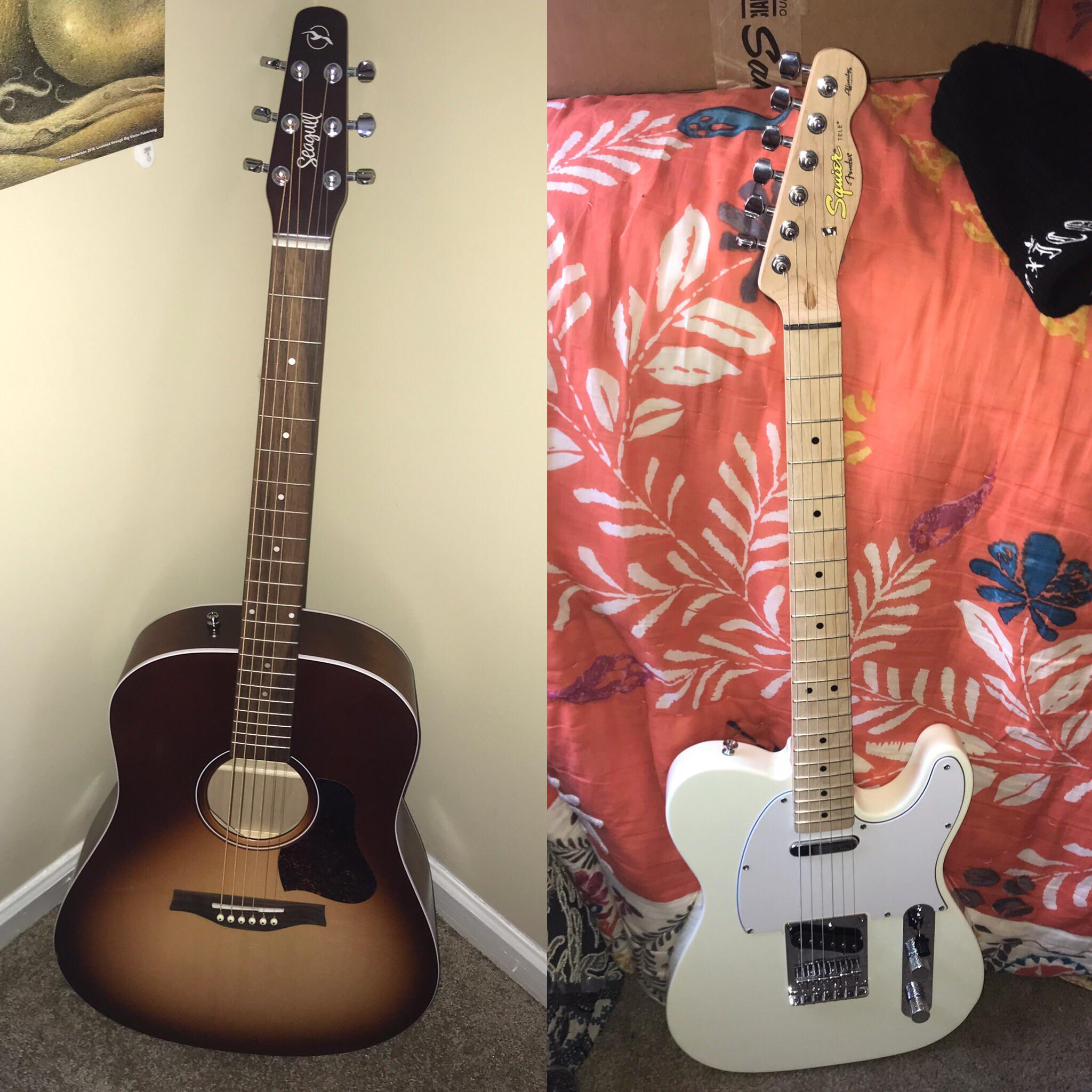 My new guitars a seagull entourage qit and a fender squier ! So excited to play r/guitars