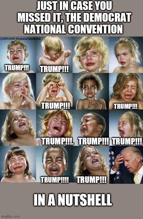 Yeah dude I'm so Triggered how will I ever recover TheRightCantMeme
