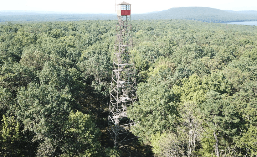 Lookouts for Sale r/Firewatch