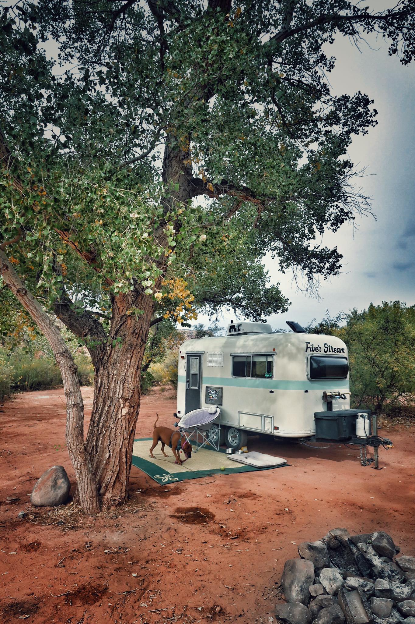 FREE Camping Outside of Zion National Park, Utah r/vandwellers
