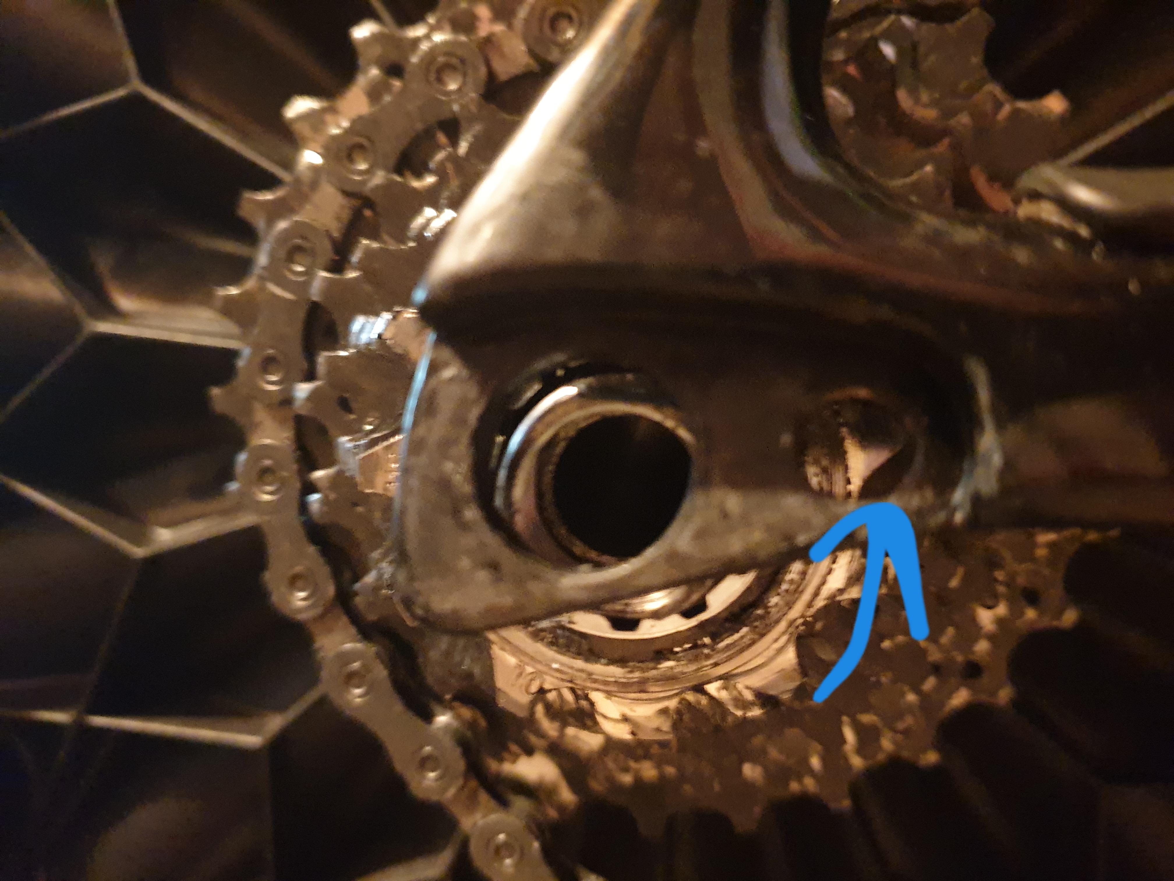 Lost a screw from rear DI2 derailleur r/bikewrench