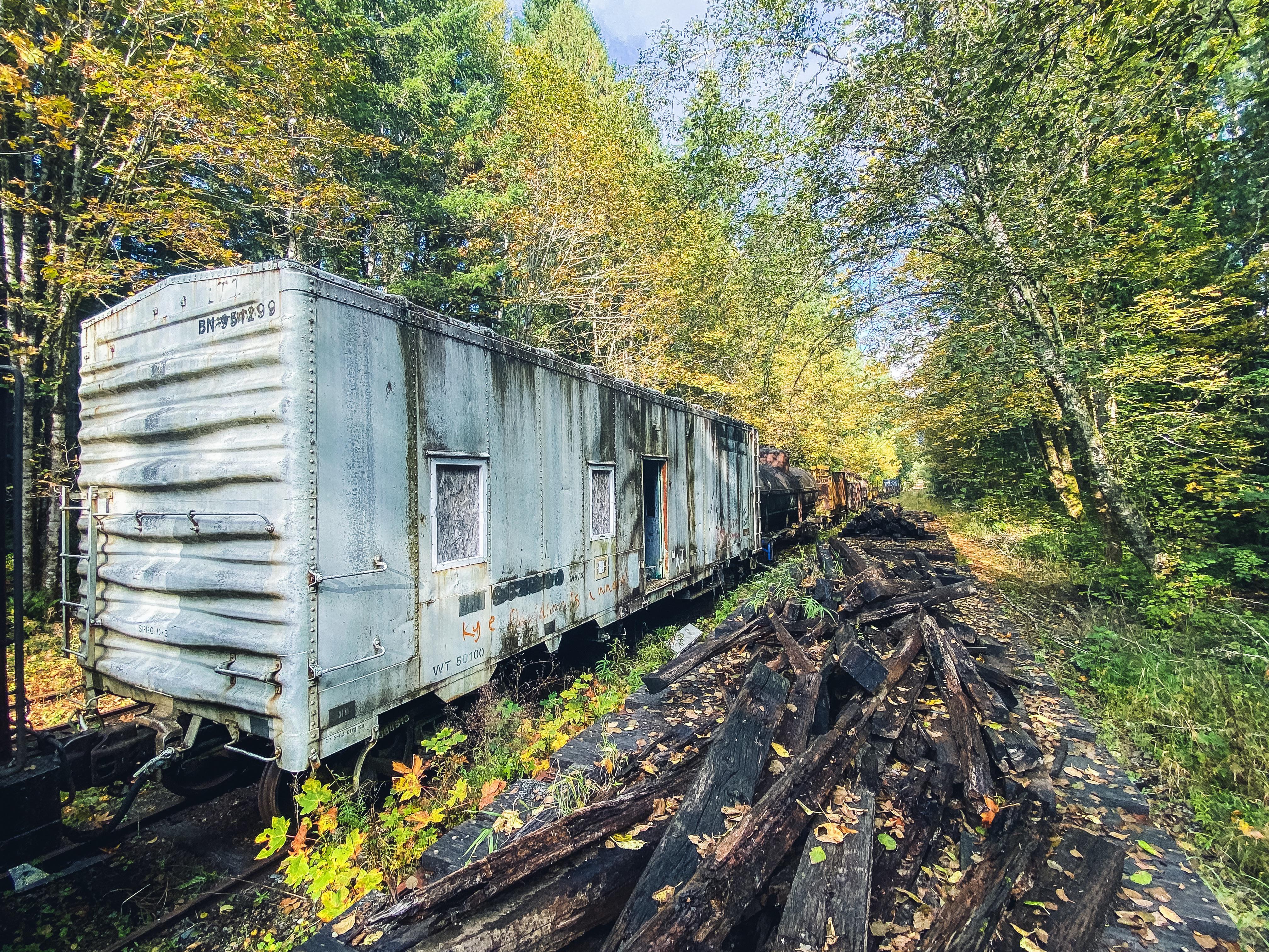 Abandoned rail cars in the woods, WA r/rustyrails