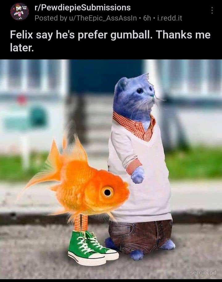 Thanks me later engrish