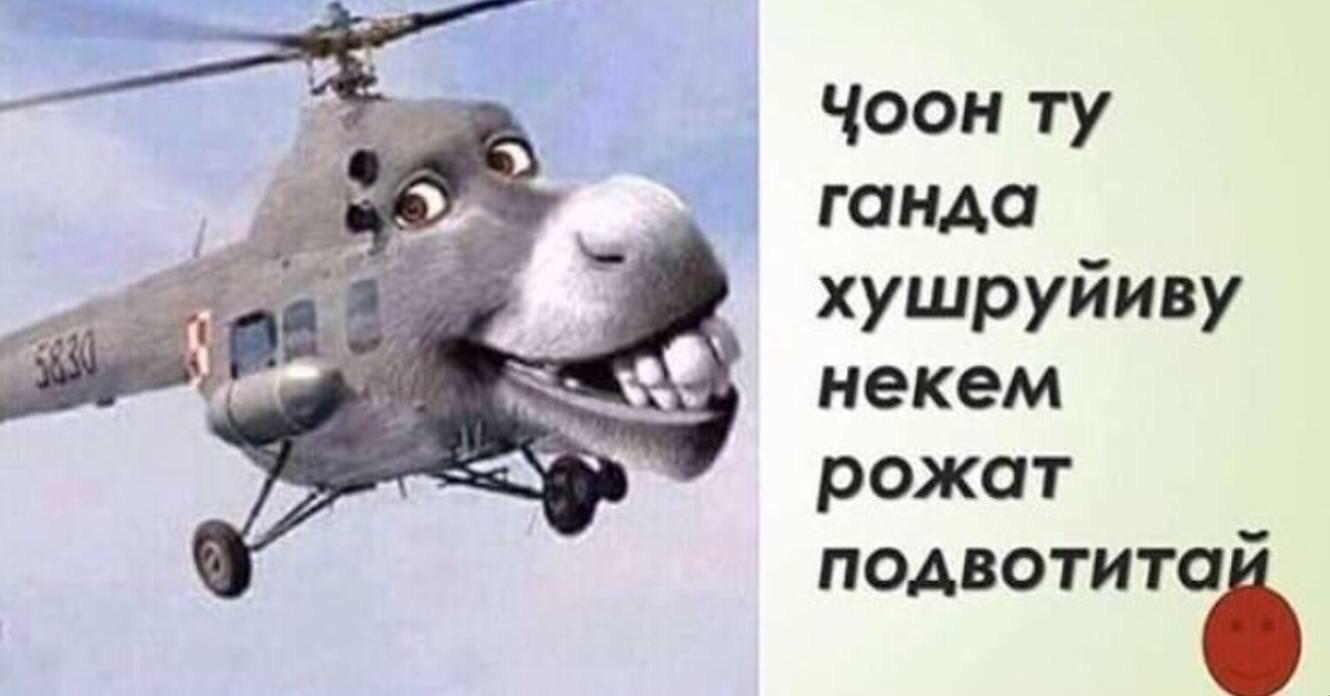 [Unknown > English] Help with this meme I can't sleep without knowing