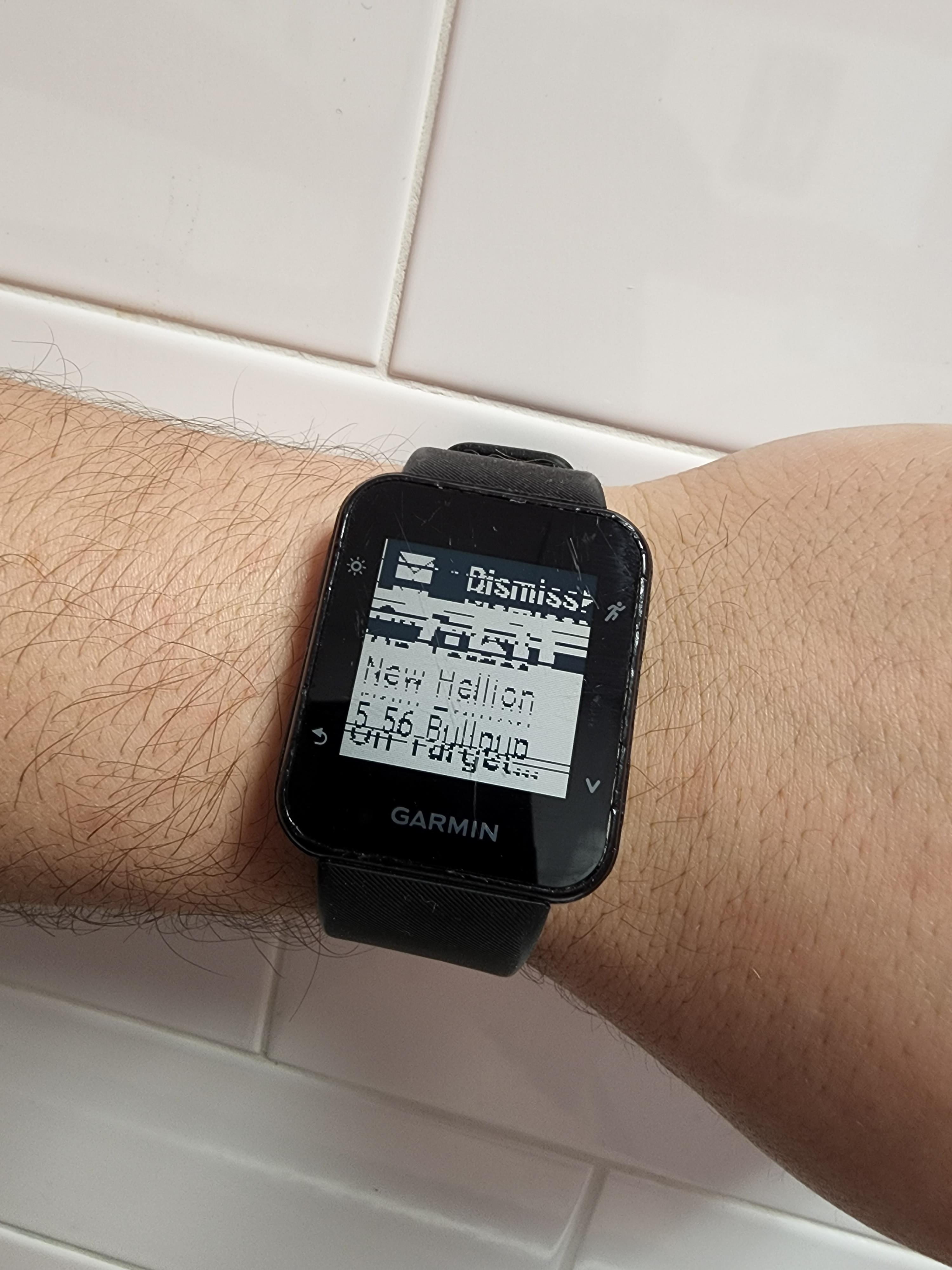 So this morning my Forerunner 35 started doing this. Tried turning it