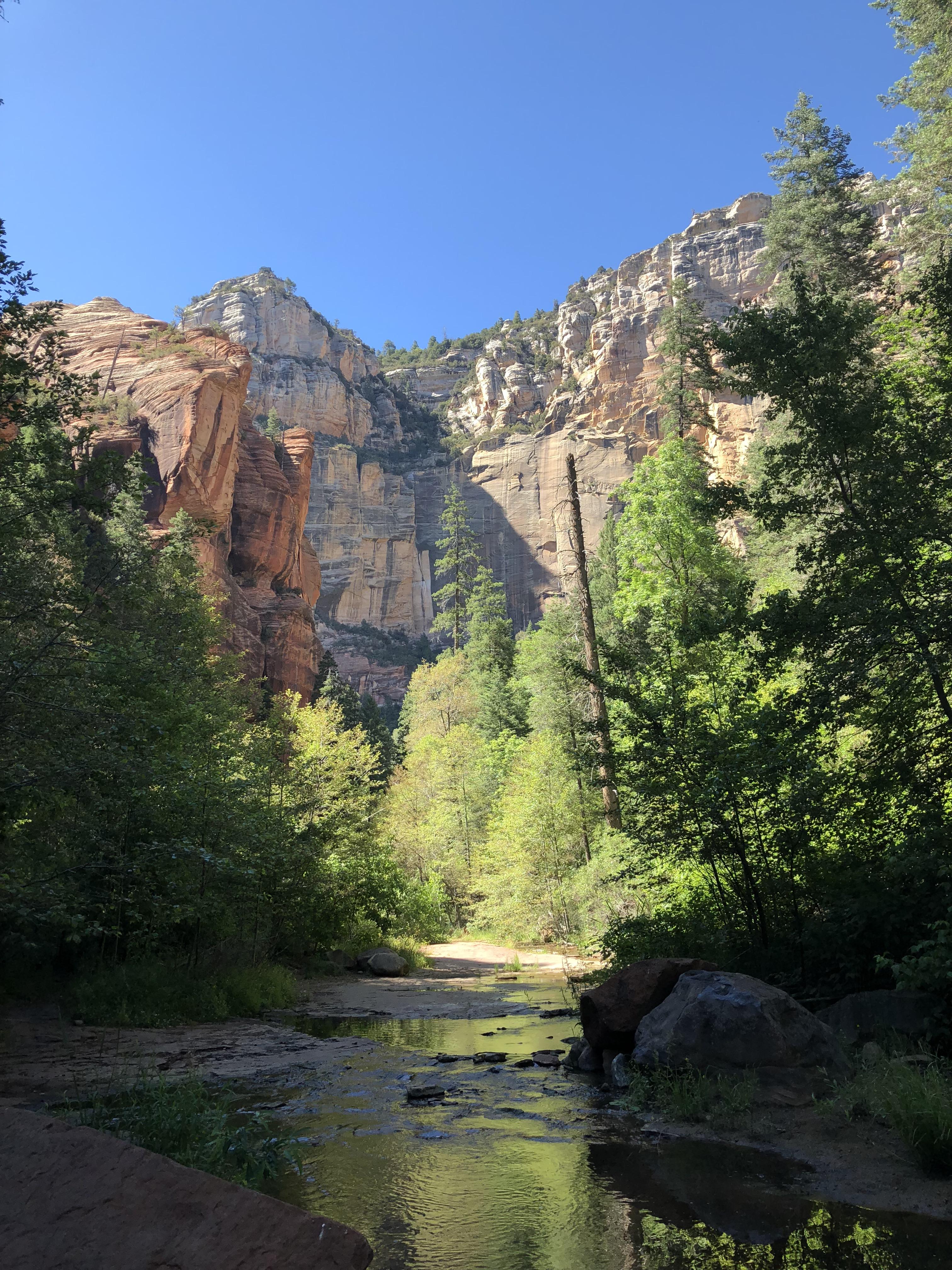 West fork trail, Sedona AZ [4032 x 3024] r/EarthPorn