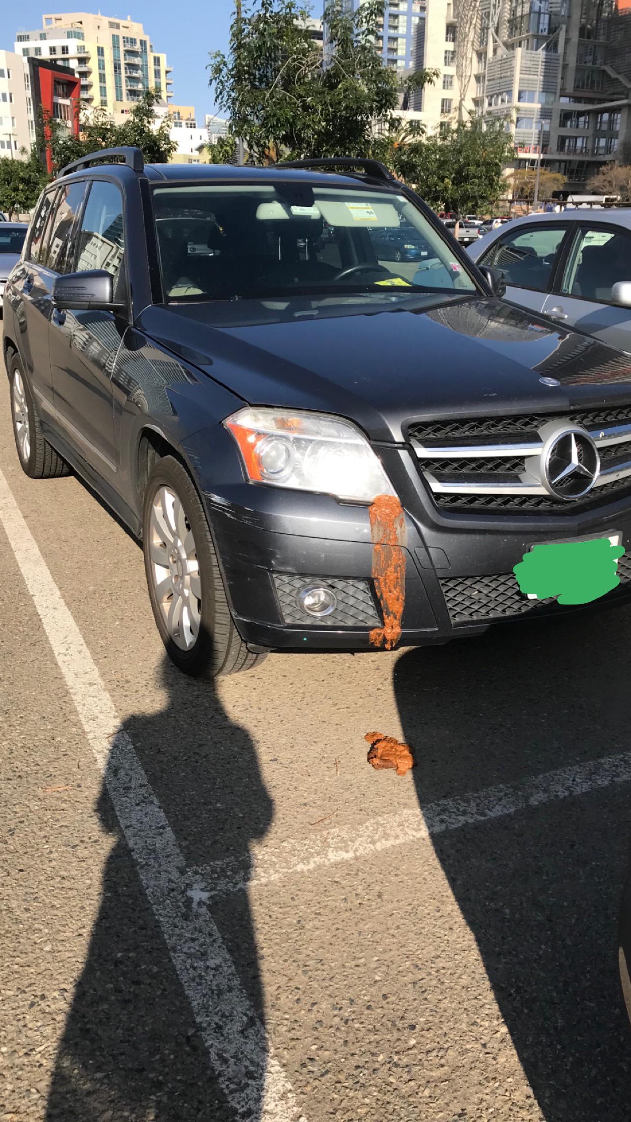 Homeless guy shit on my sisters car. Stay classy San Diego! r