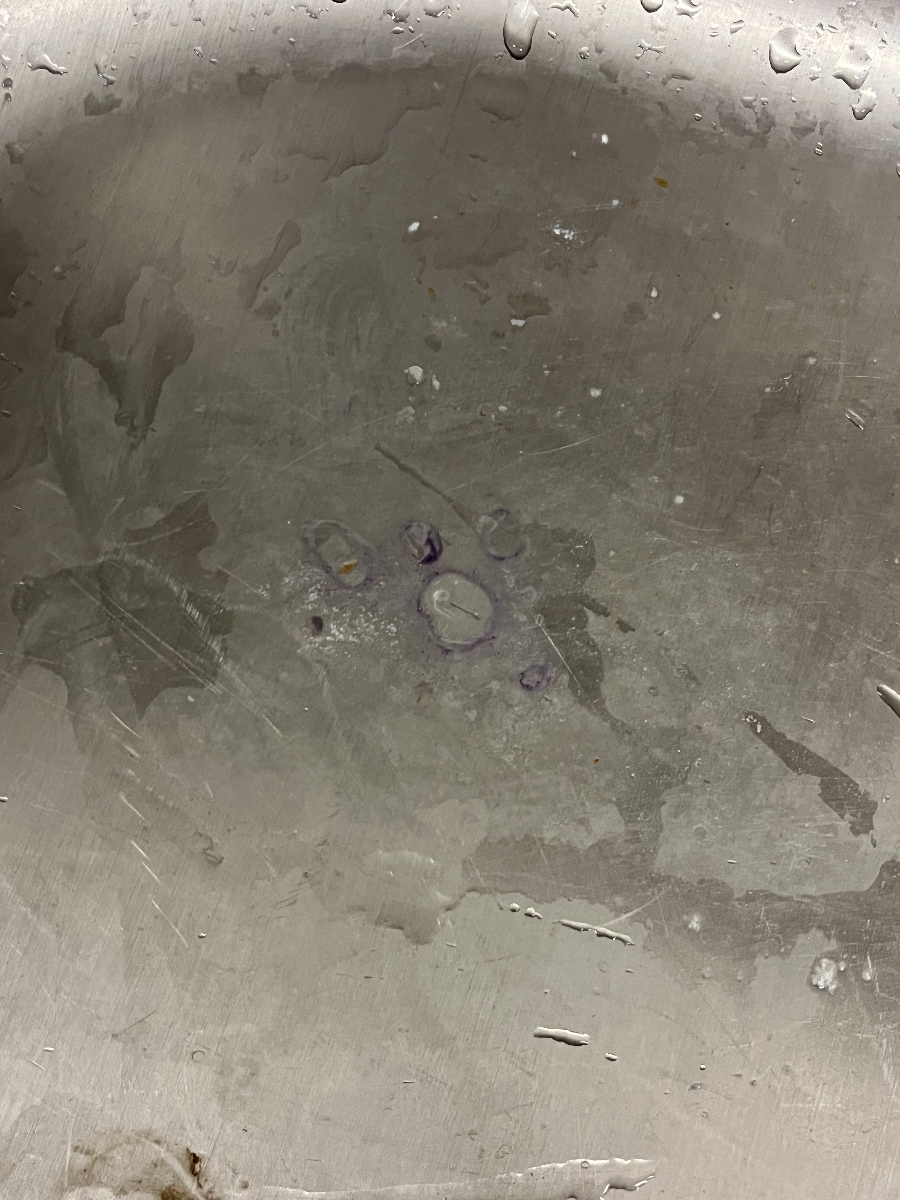 Is this mold??? Purple thing in my sink r/Mold